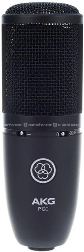 AKG P120 High-Performance Condenser Microphone 2