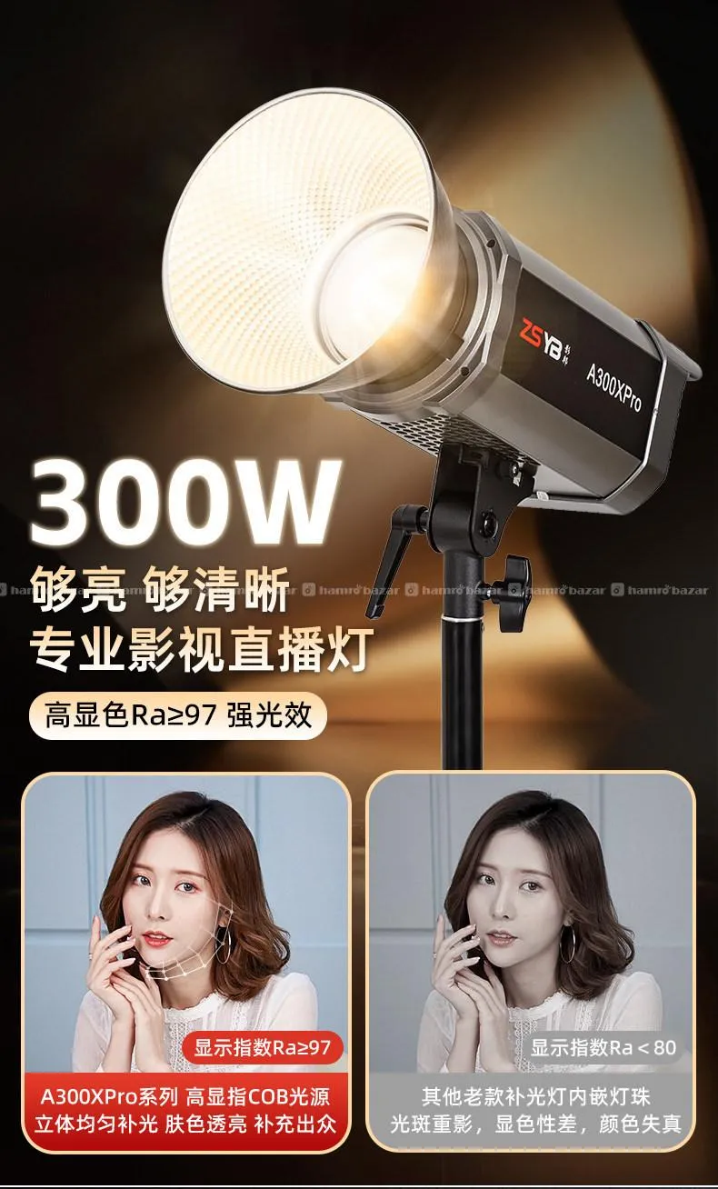 ZSYB 300W Bi-Color Studio Light (A300XPro) 6
