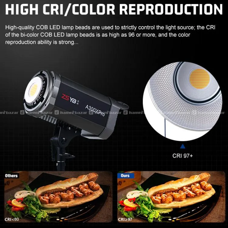 ZSYB 300W Bi-Color Studio Light (A300XPro) 7