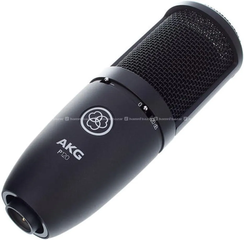 AKG P120 High-Performance Condenser Microphone 4