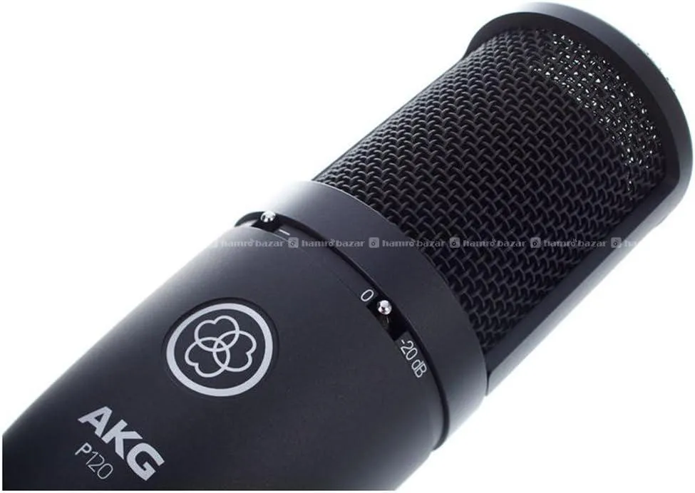 AKG P120 High-Performance Condenser Microphone 5
