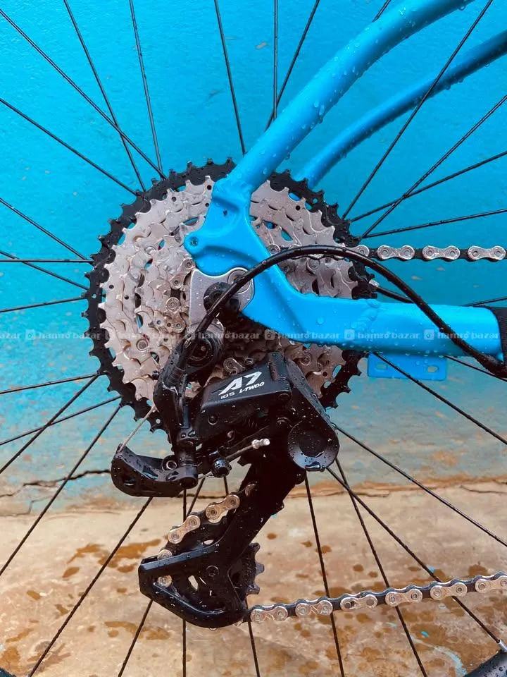 PANC Customised Trail Bike Level 5 2