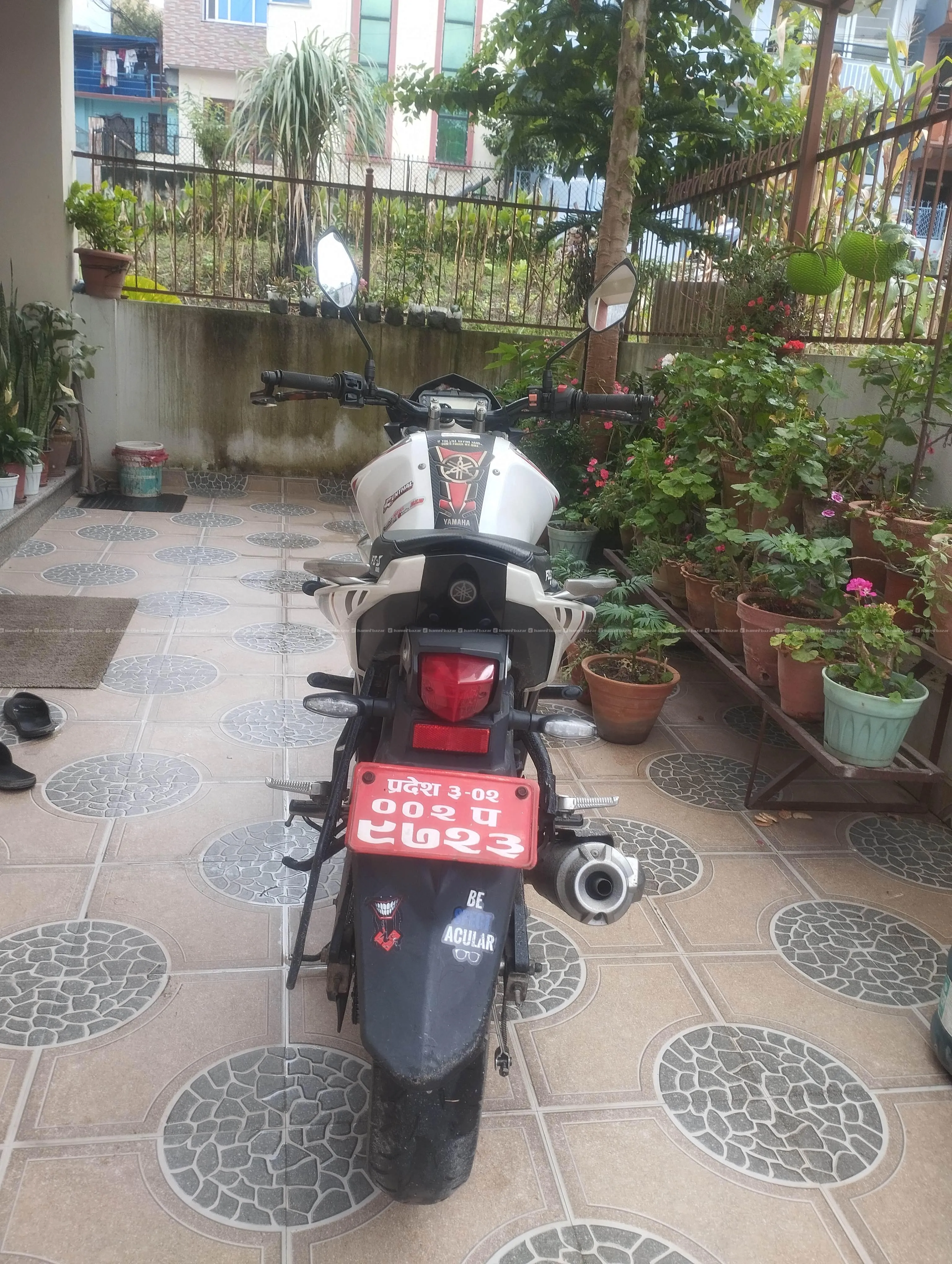 Urgent bike sale 3