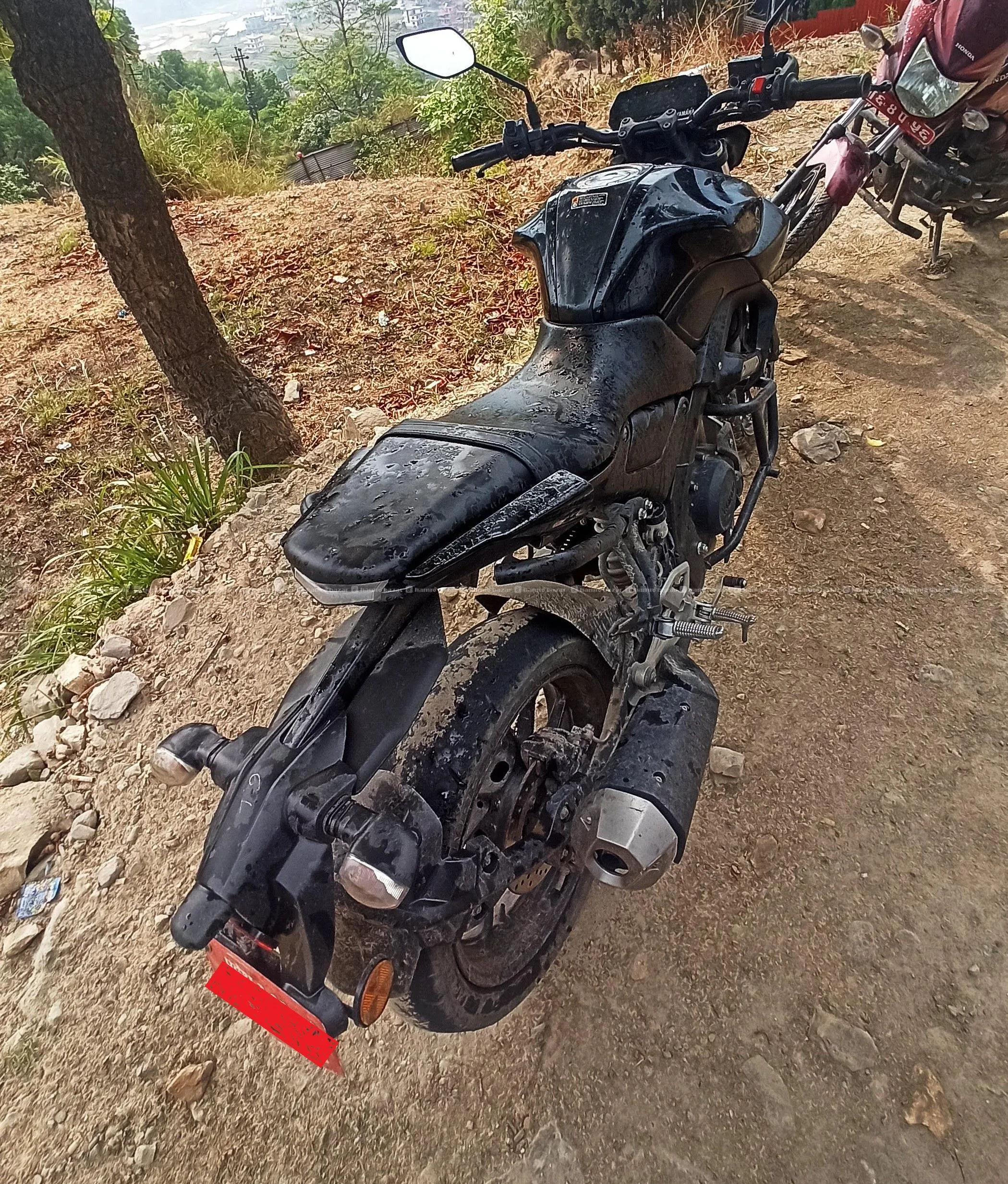Mt 15 2