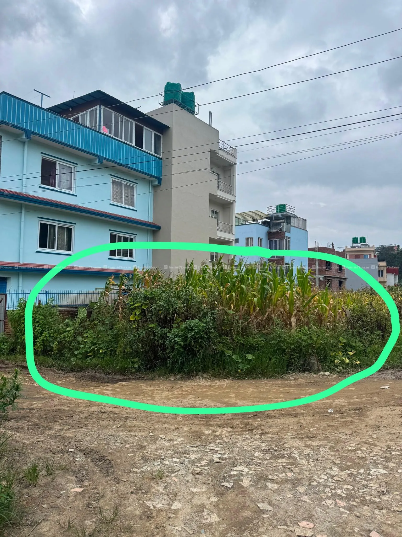 6 aana commercial/residential land in Thecho 1