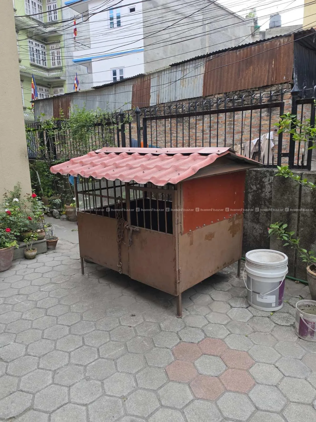 Dogs Cage 3
