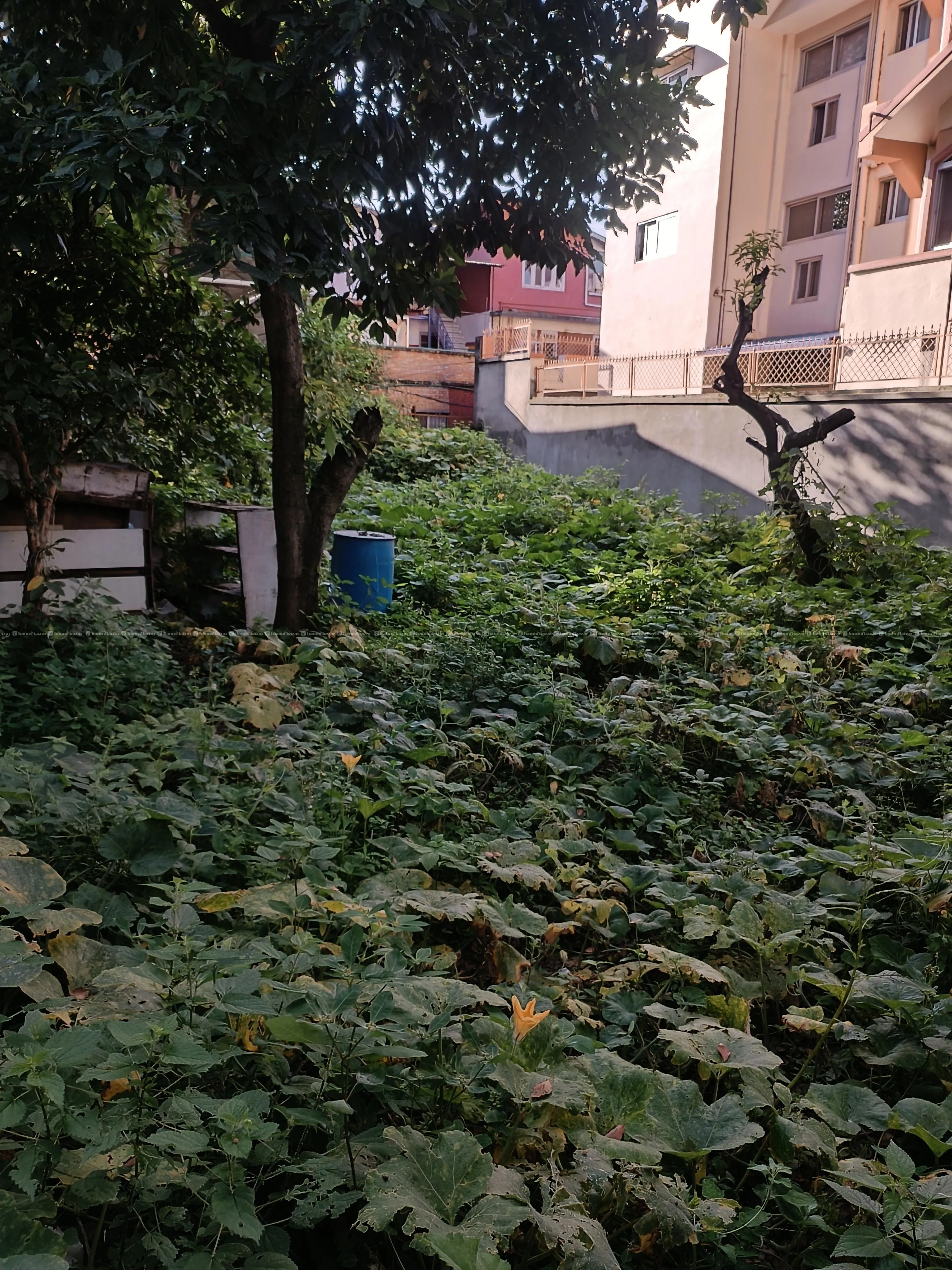 7 Anna Land for Rent in Prime Kumaripati Location