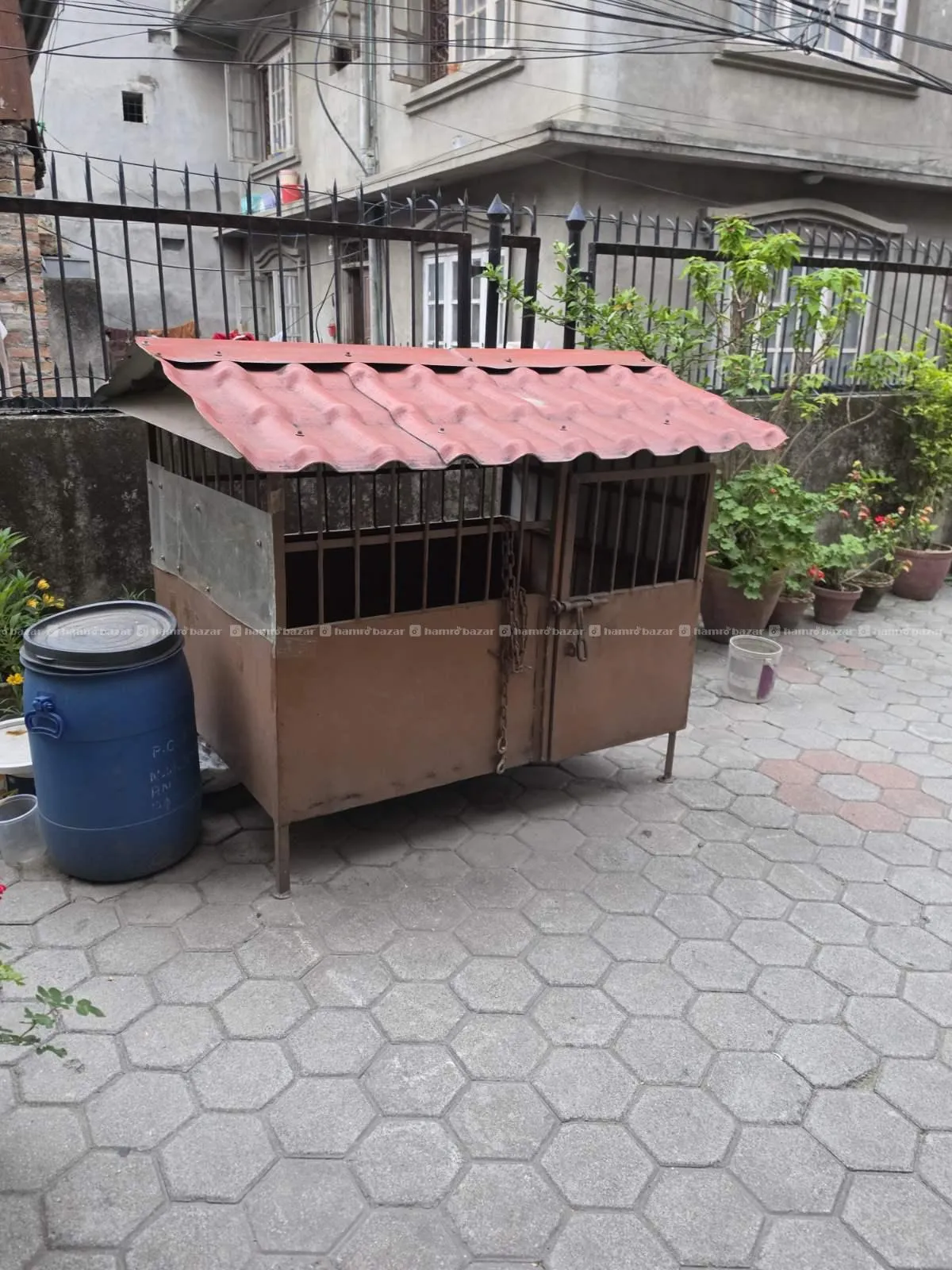 Dogs Cage 2