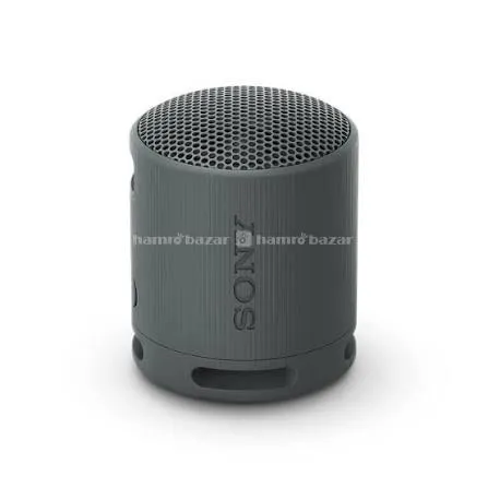 Sony SRS XB100 Bluetooth Speaker 4