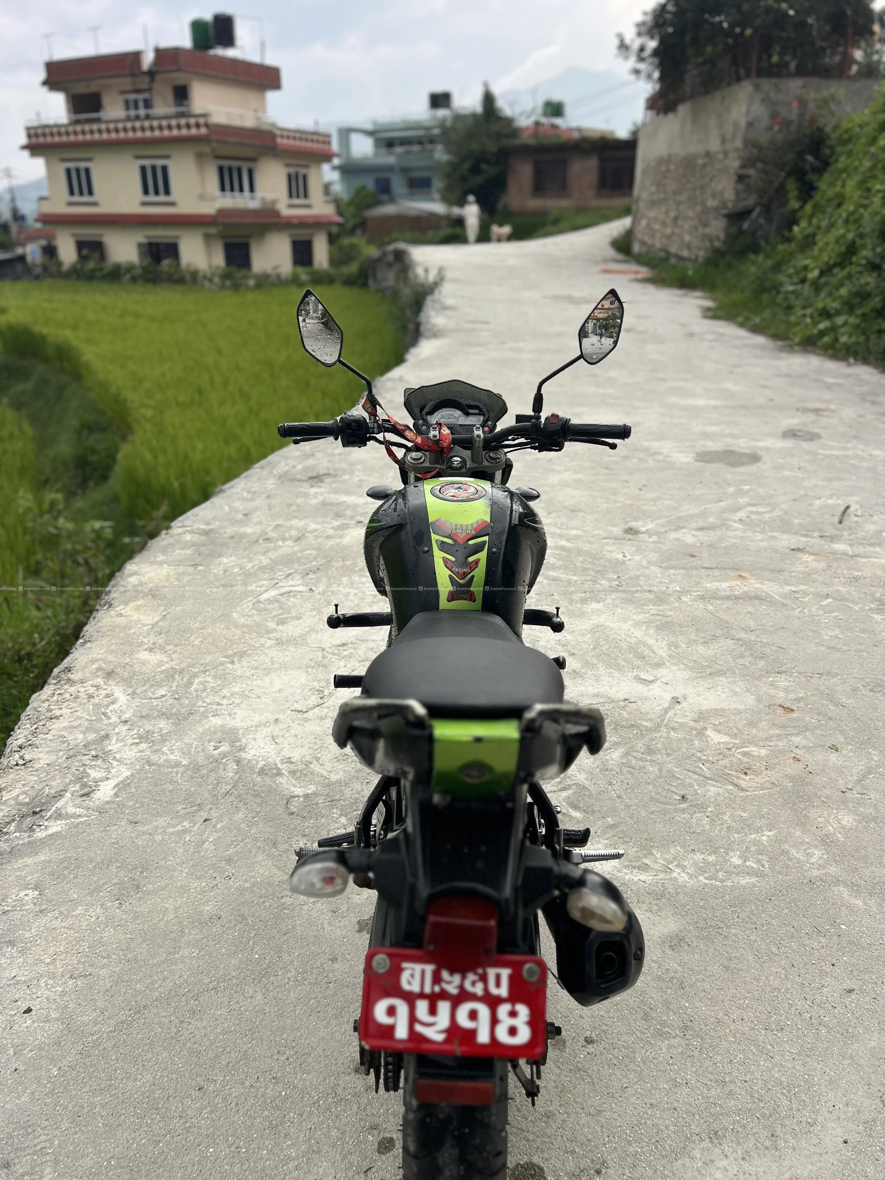Yamaha FZ V1 2013 Model | Green & Black | For Sale 4