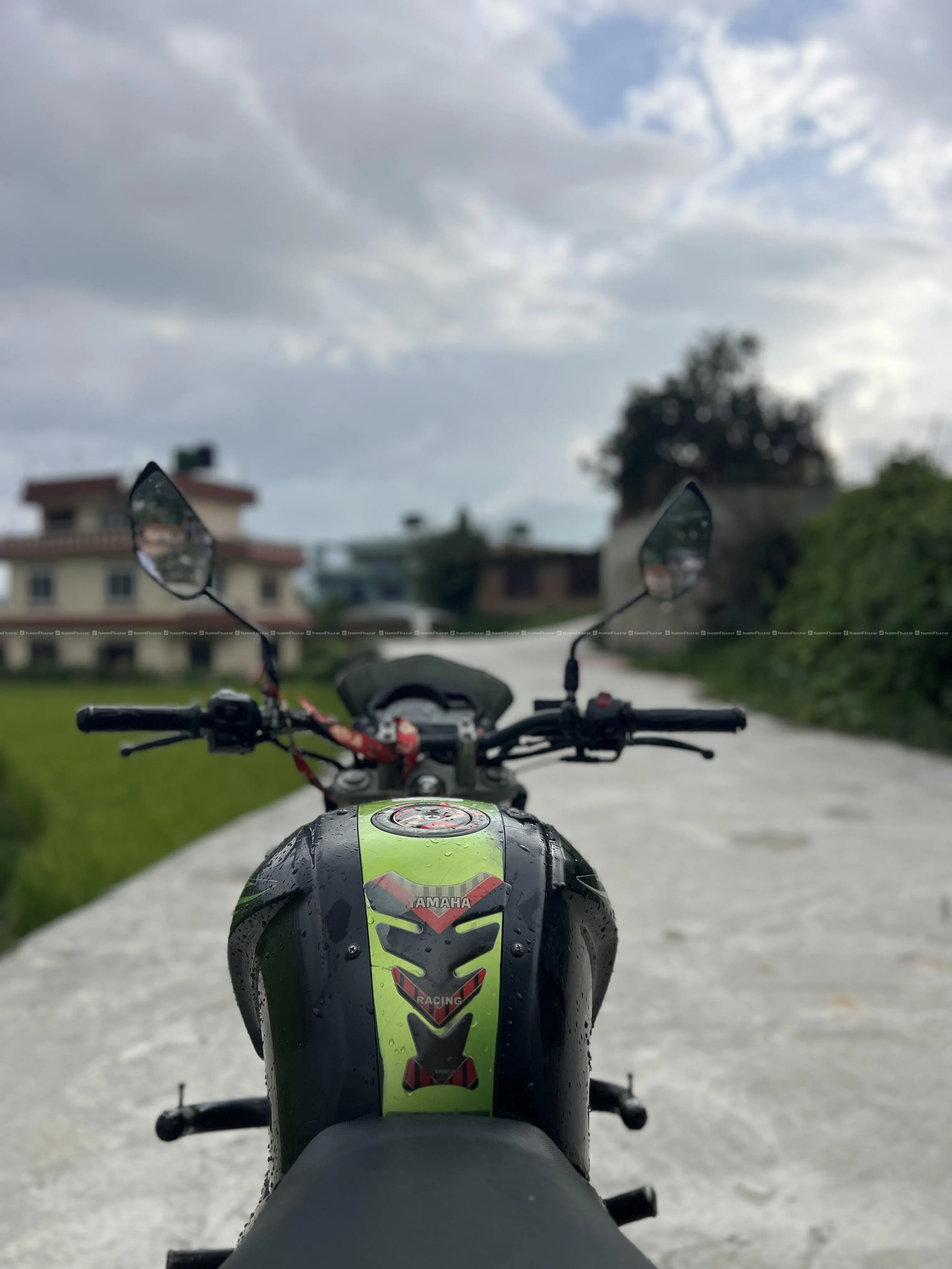 Yamaha FZ V1 2013 Model | Green & Black | For Sale 6