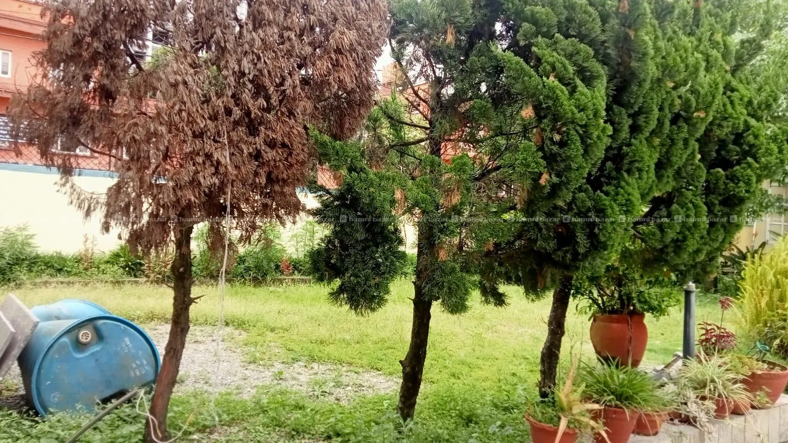 4 BHK House For Rent In Jhamsikhel, Lalitpur 2