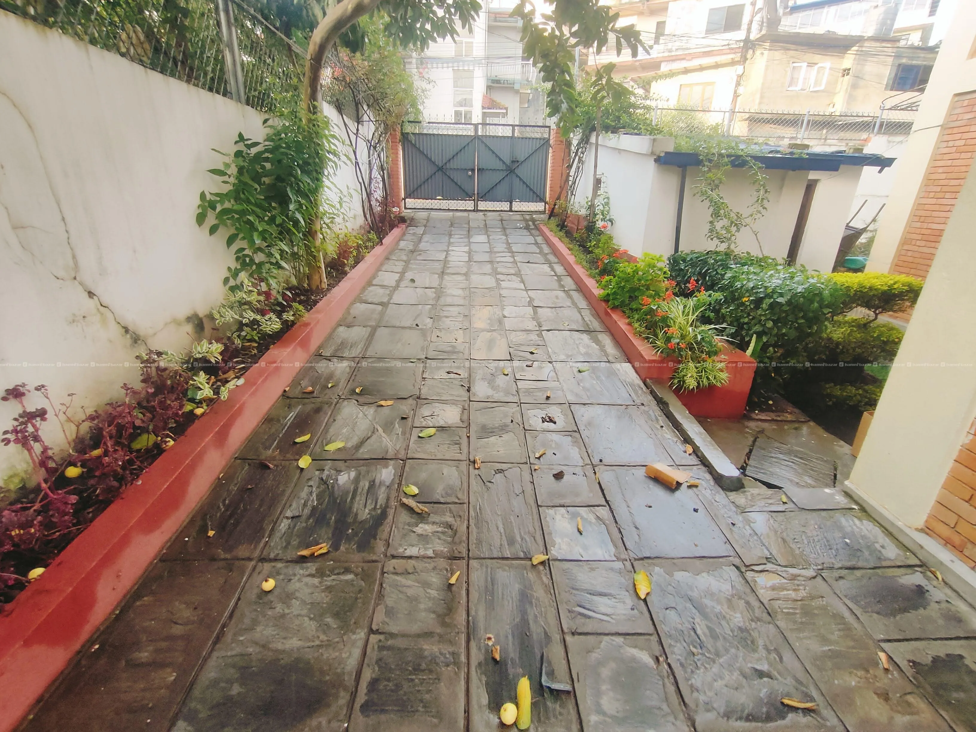 1 BHK Flats for rent at Kuleshwor 6