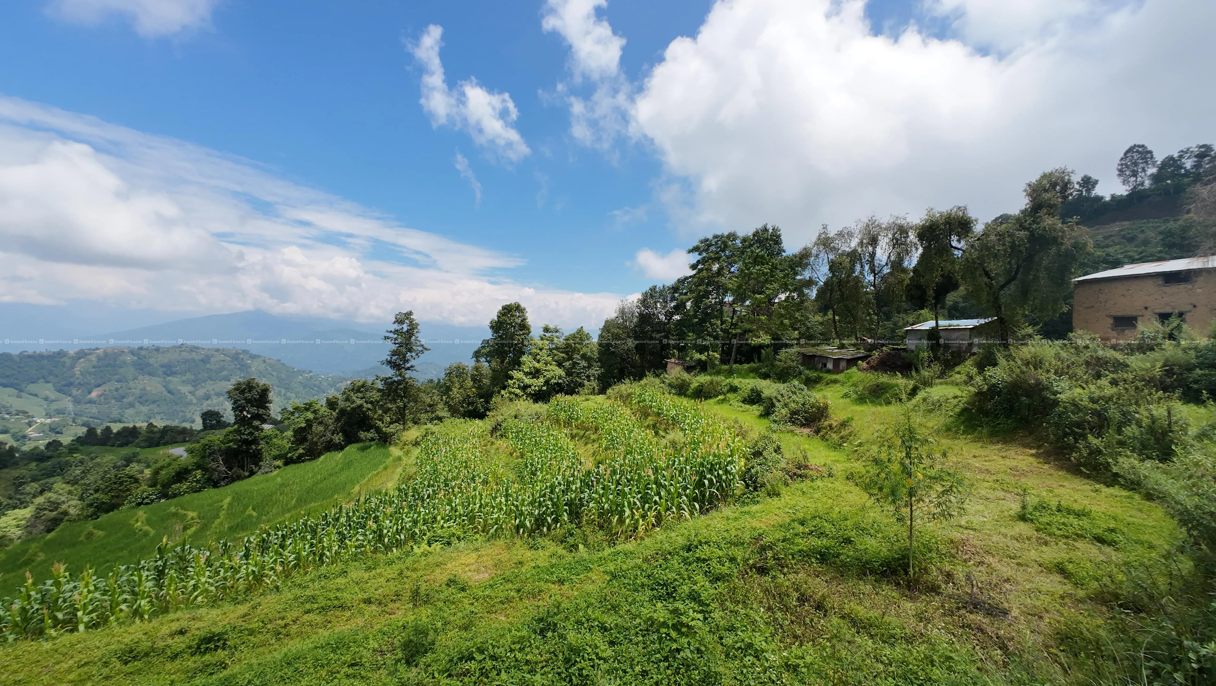 PRIME COMMERCIAL & RESORTS LAND SALE FOR NAGARKOT! 5