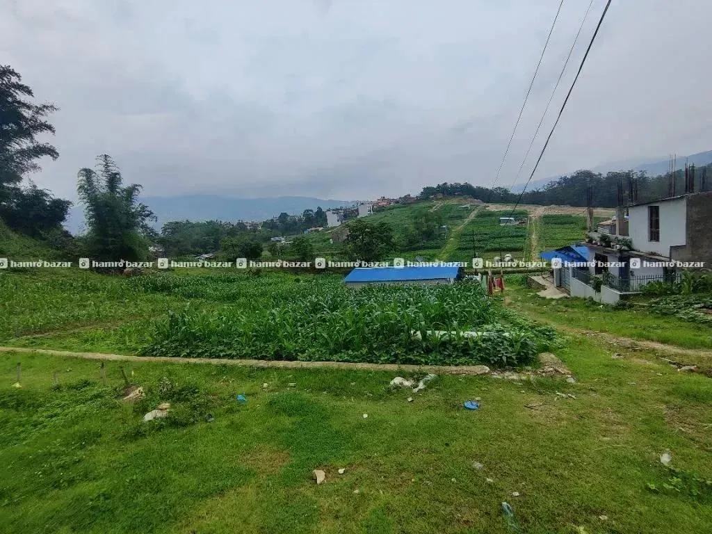 Land Sale Danchi 3