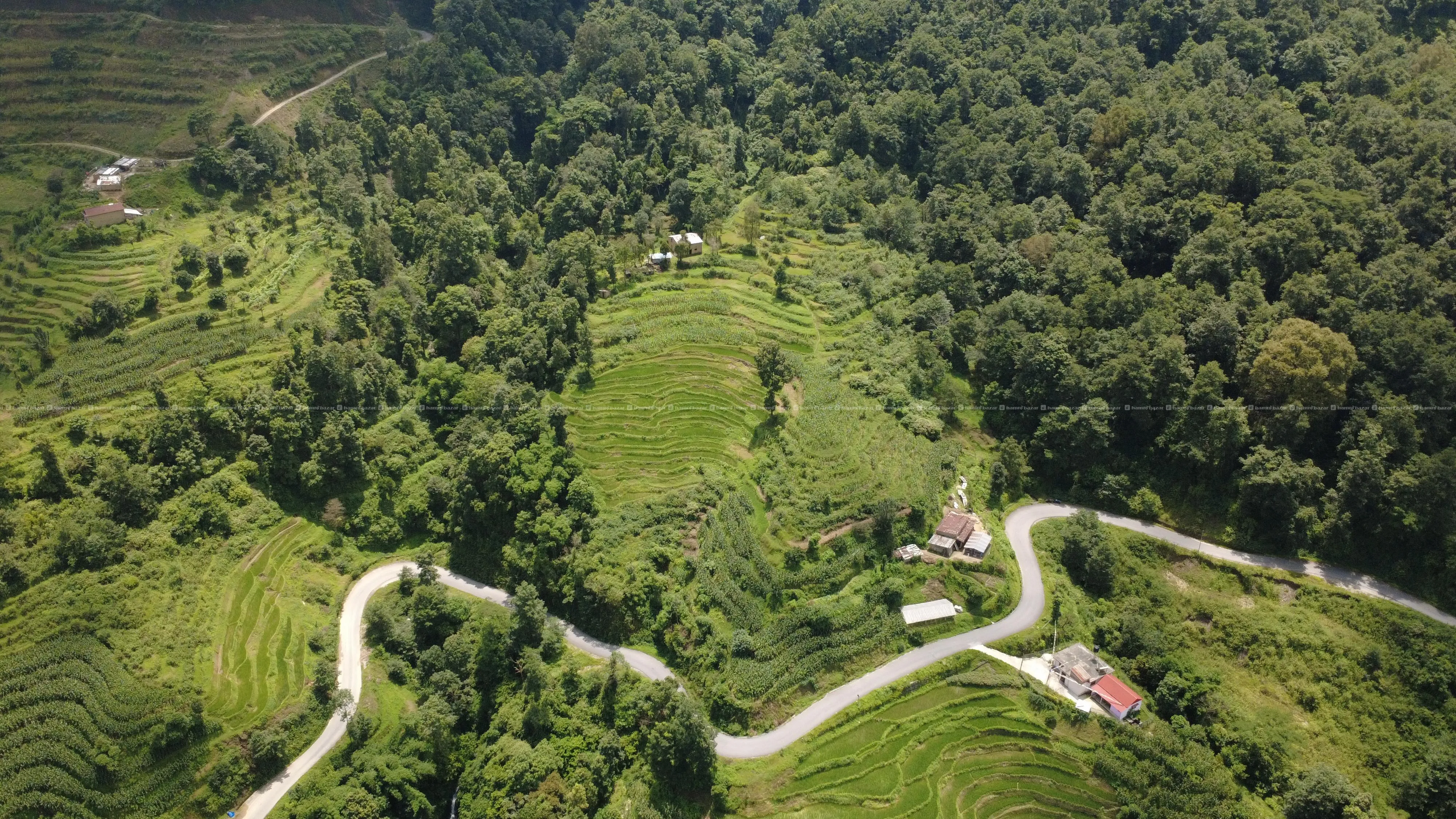 PRIME COMMERCIAL & RESORTS LAND SALE FOR NAGARKOT! 4