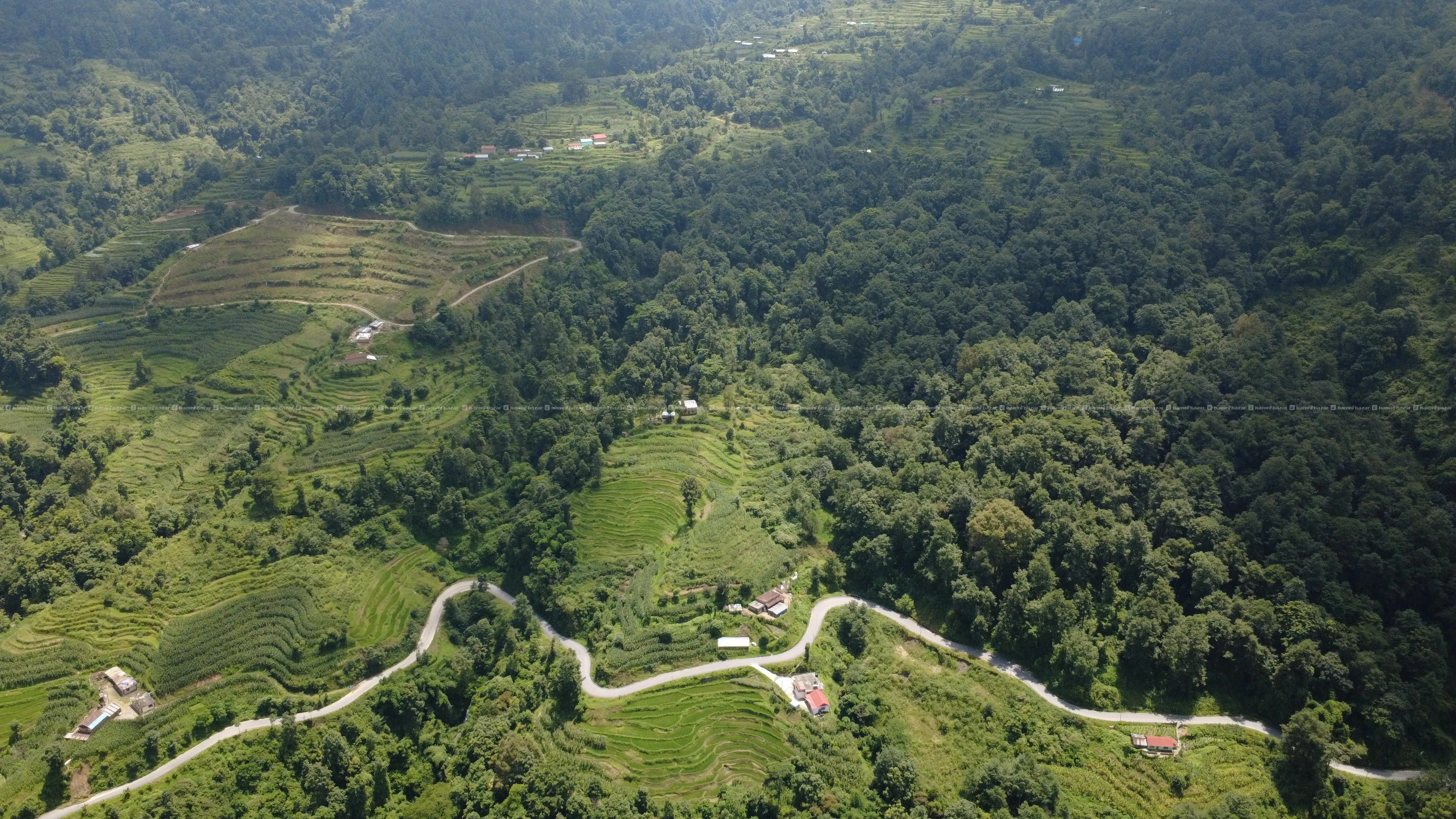 PRIME COMMERCIAL & RESORTS LAND SALE FOR NAGARKOT! 6