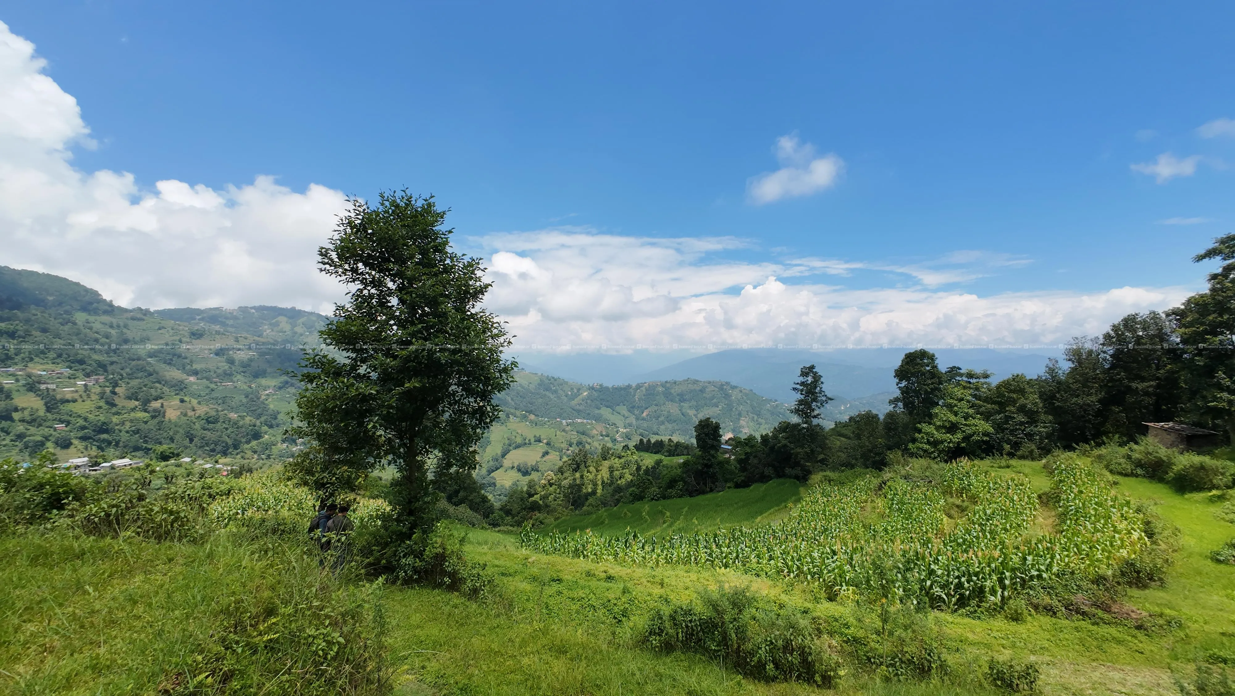 PRIME COMMERCIAL & RESORTS LAND SALE FOR NAGARKOT! 2