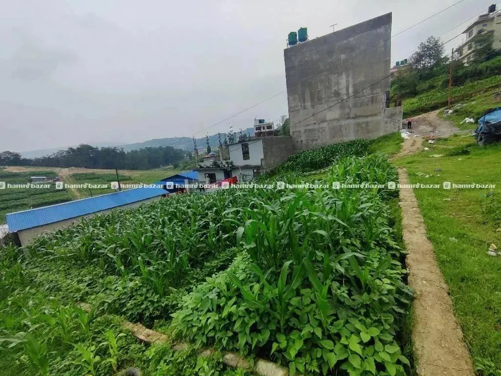 Land Sale Danchi 2