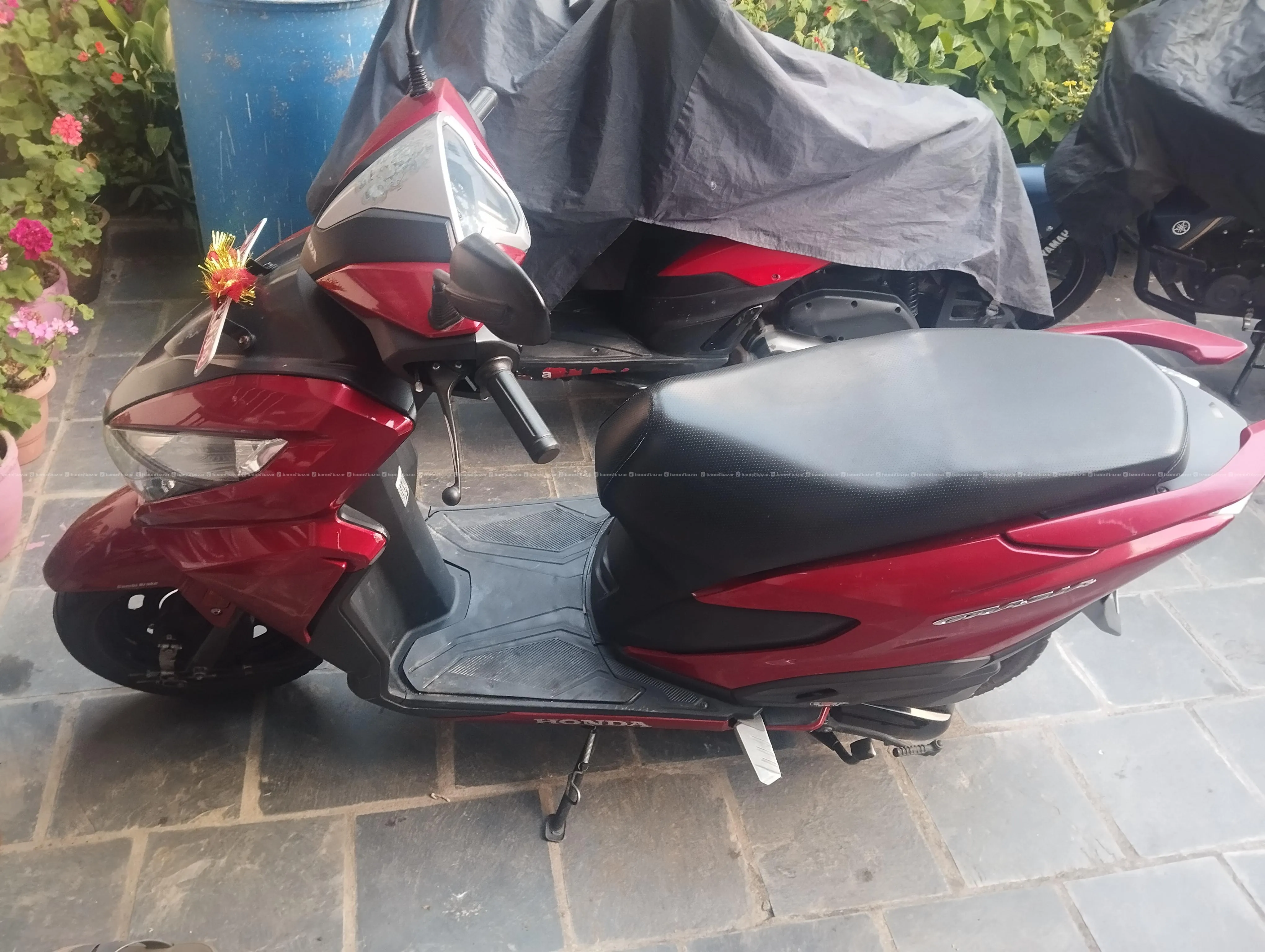 scooter 6