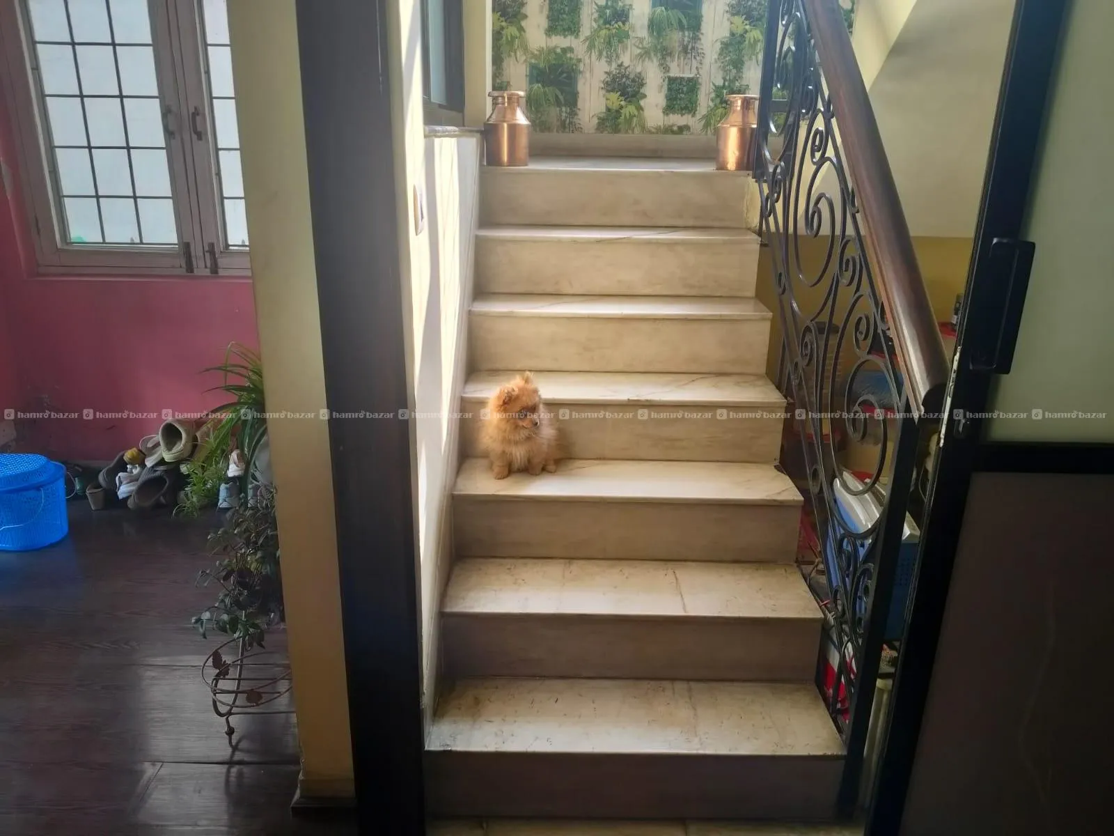 Beautiful 4BHK House Rent at Sunrise Homes 7