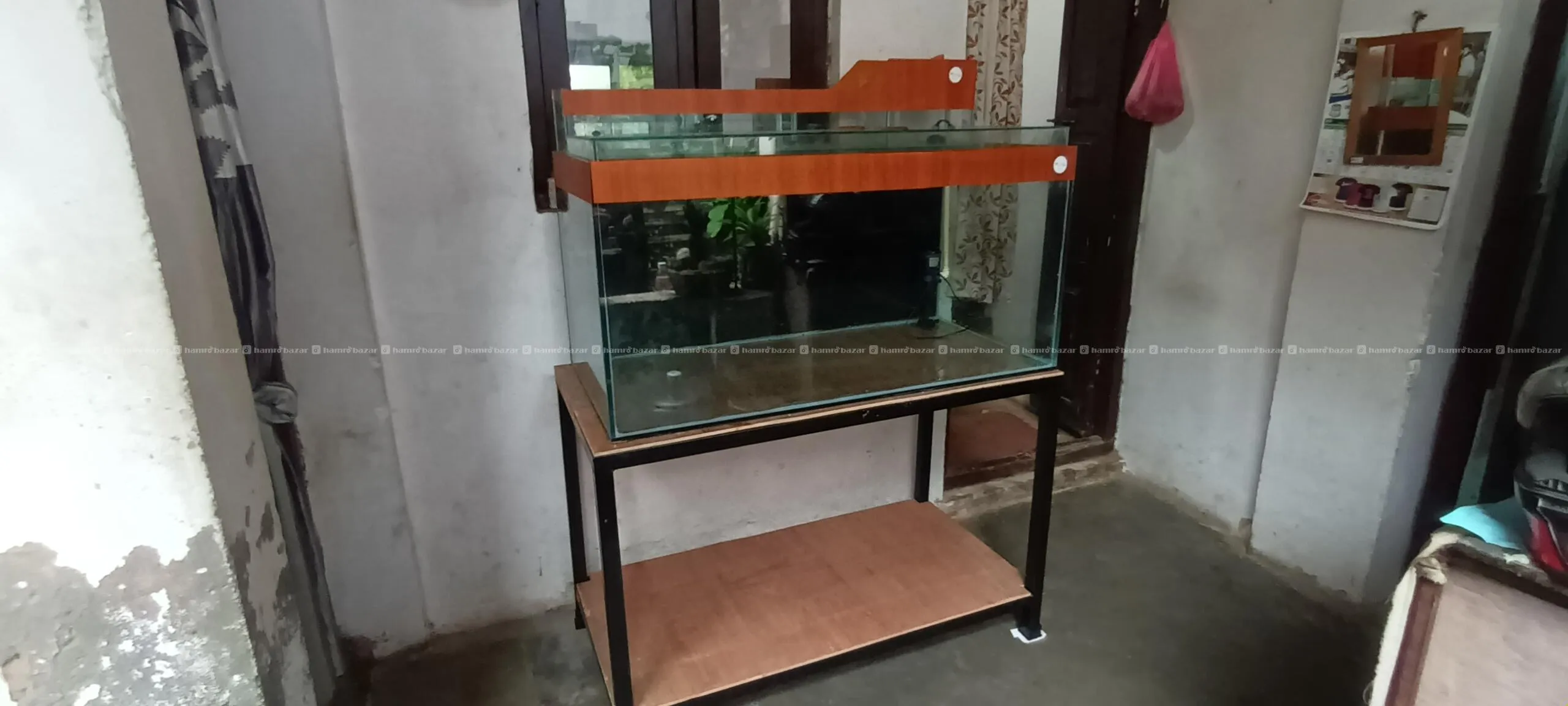 4ft 2ft 2ft aquarium tank 2