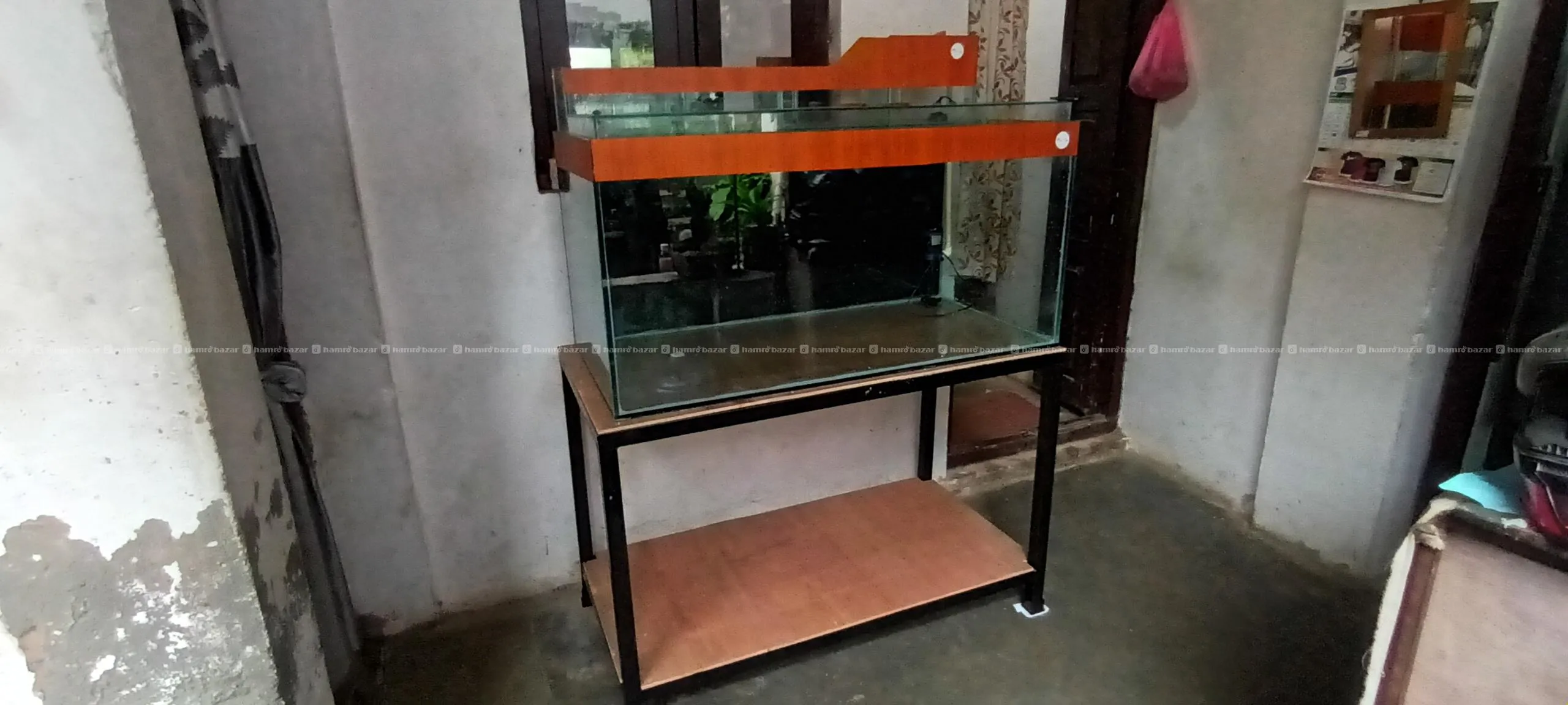 4ft 2ft 2ft aquarium tank 3