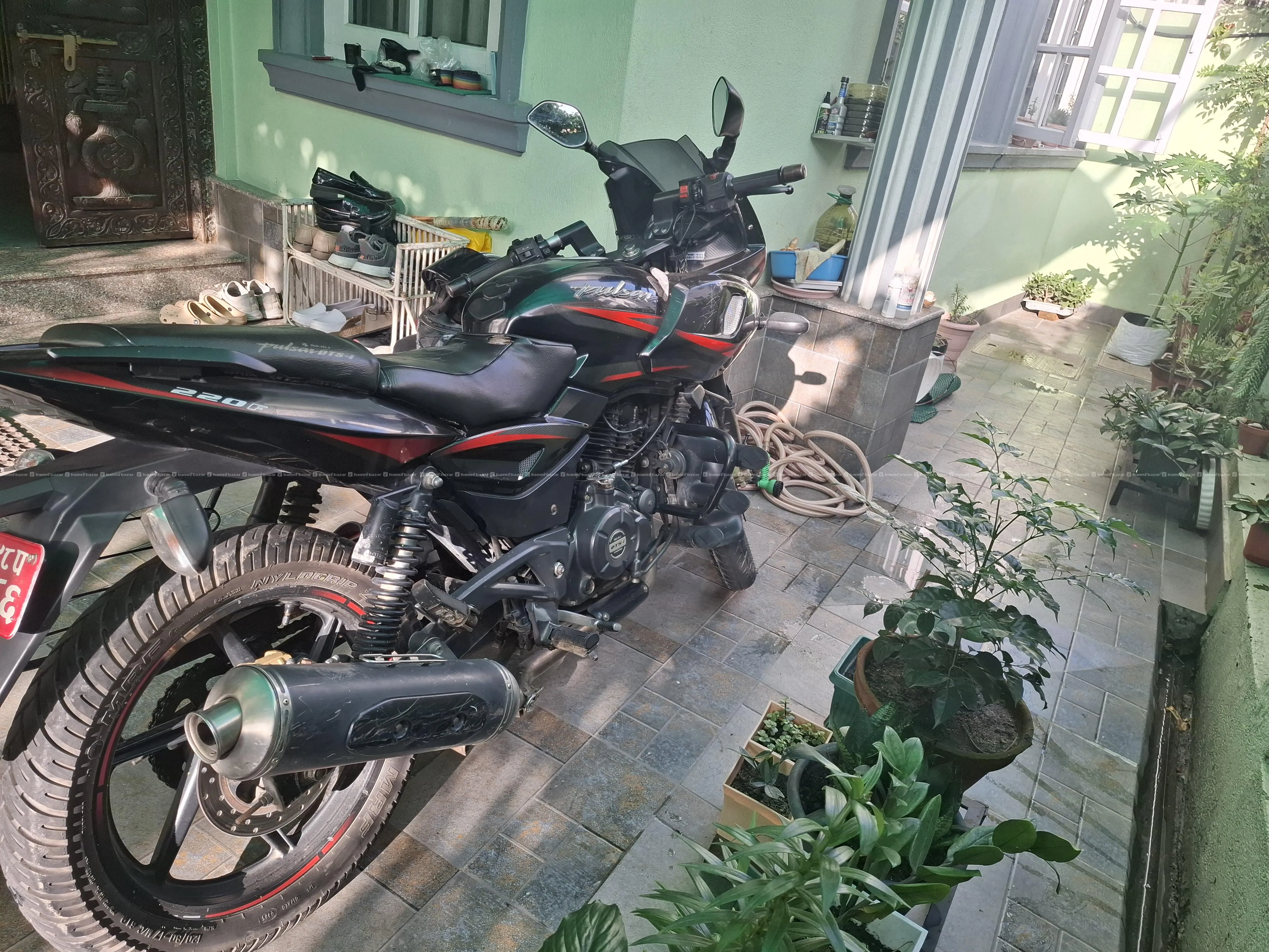 sealpacked 98 lot pulsar 220 on sale 2