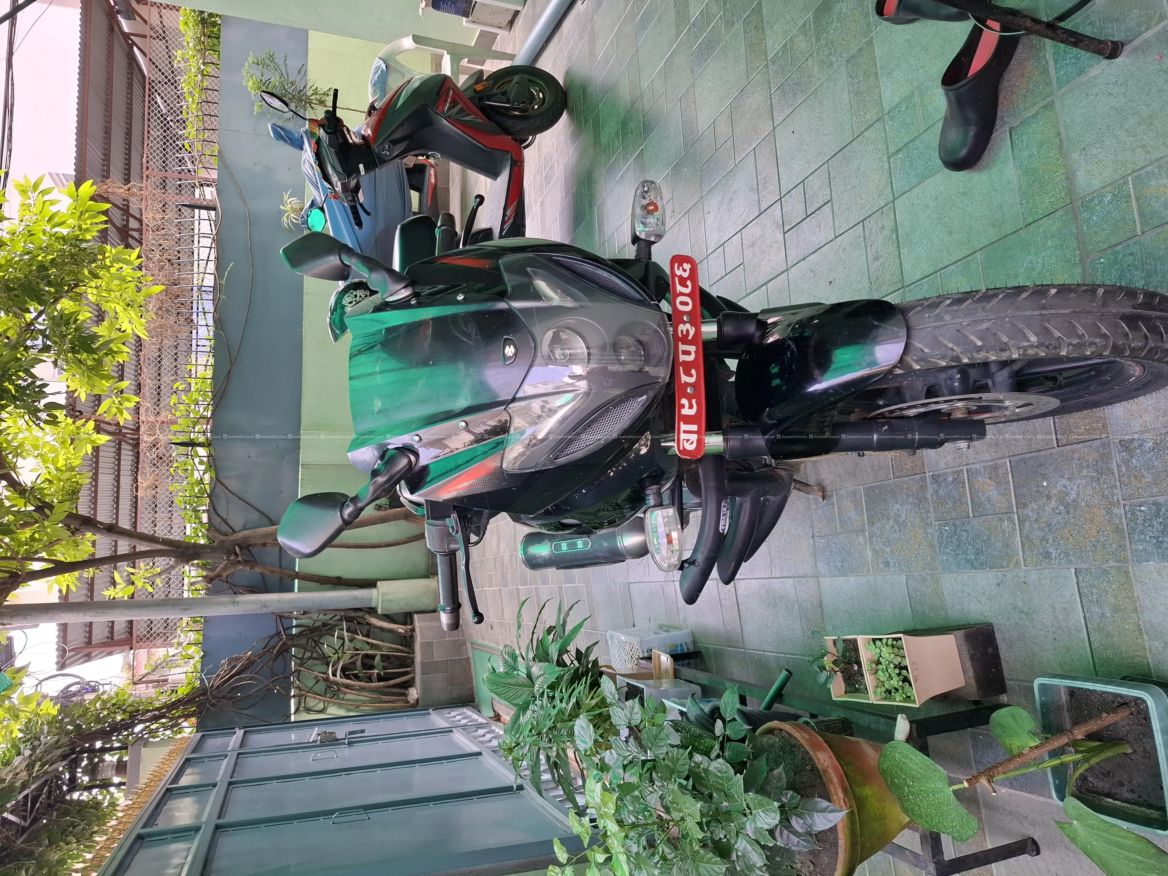 sealpacked 98 lot pulsar 220 on sale 3