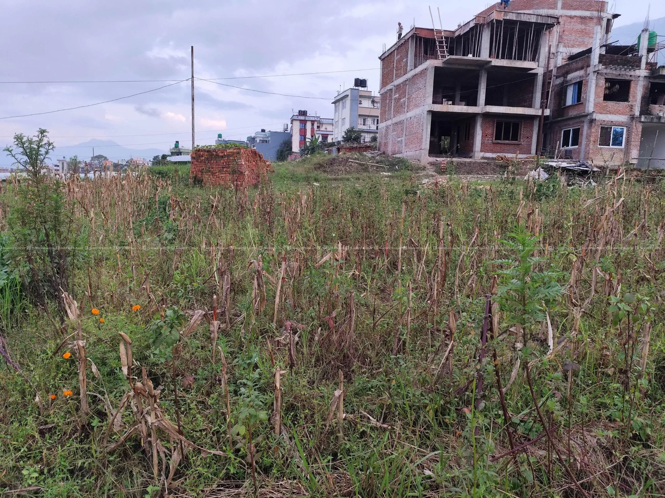 Land sell, chindagiri 9, firfira chour 2