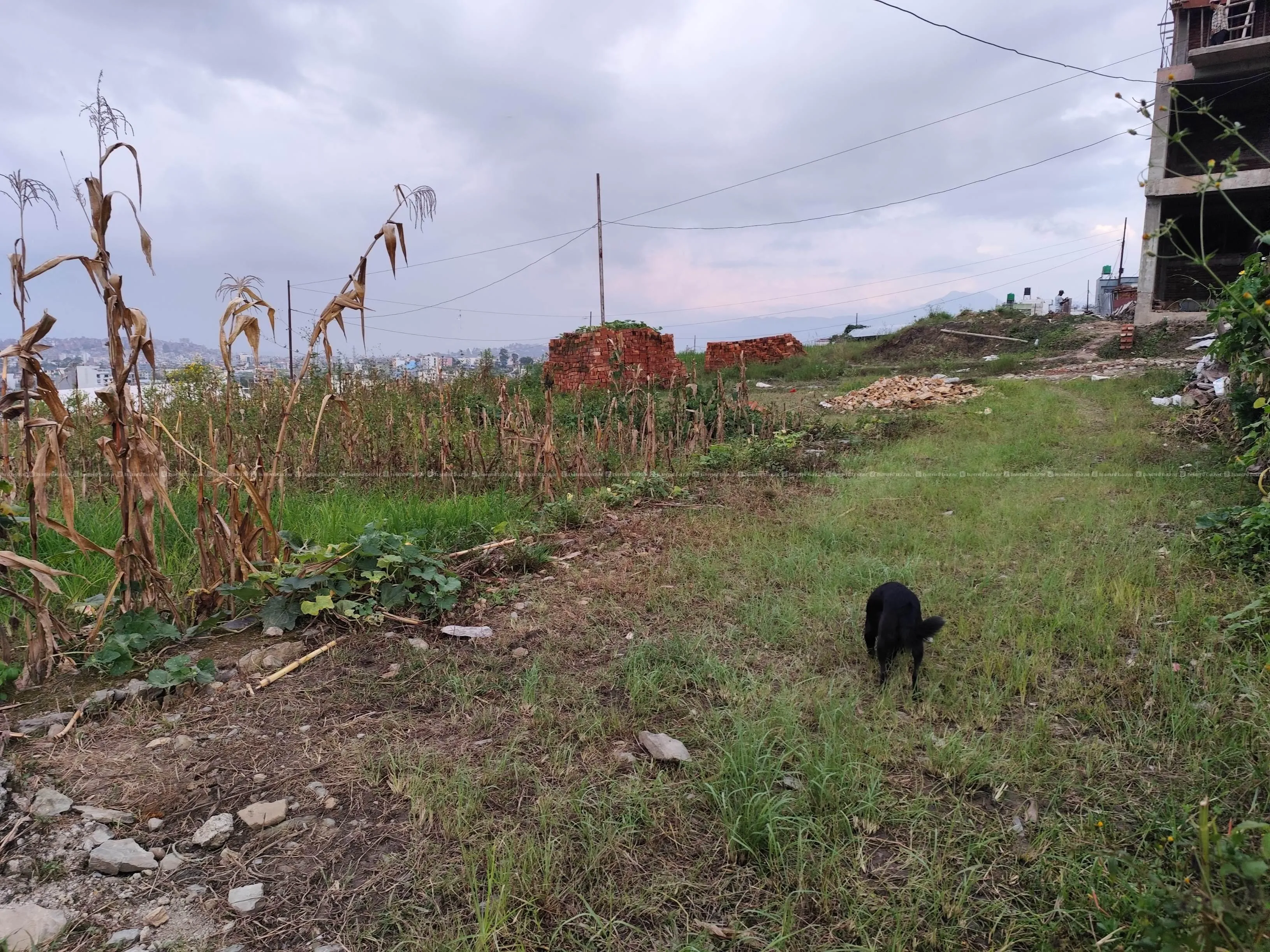 Land sell, chindagiri 9, firfira chour 4