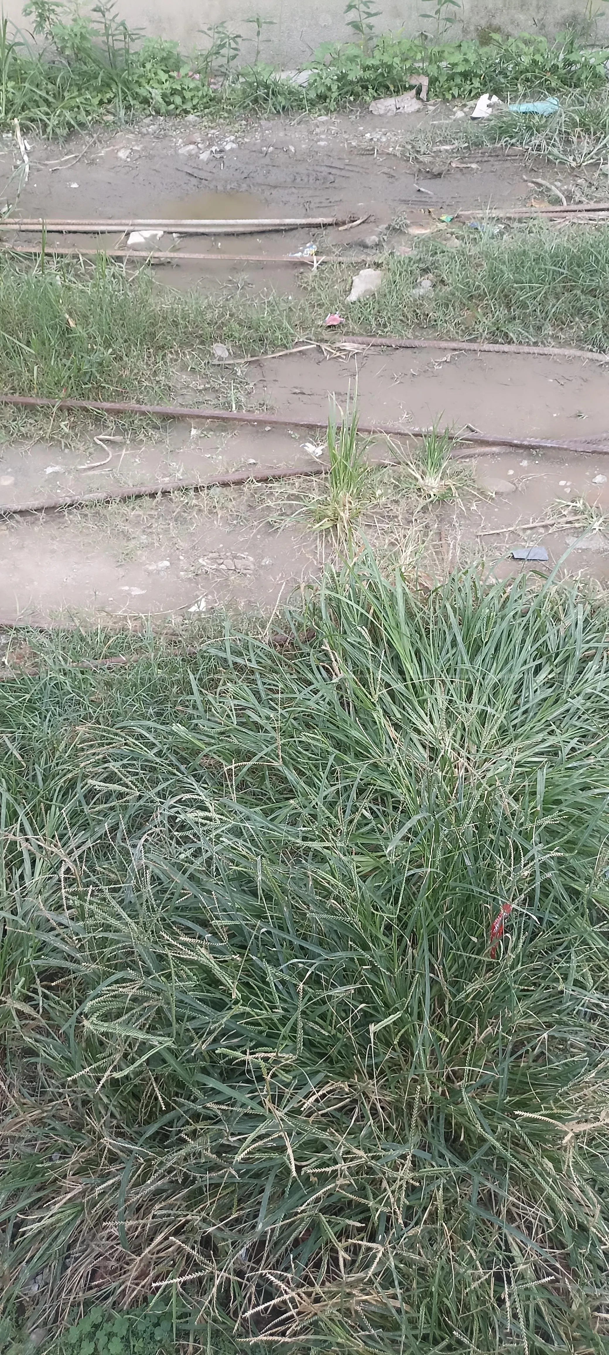 land sale at Balkot Chowk 3