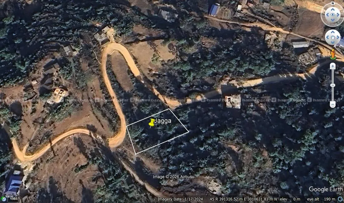 Urgent! Land for sale!
