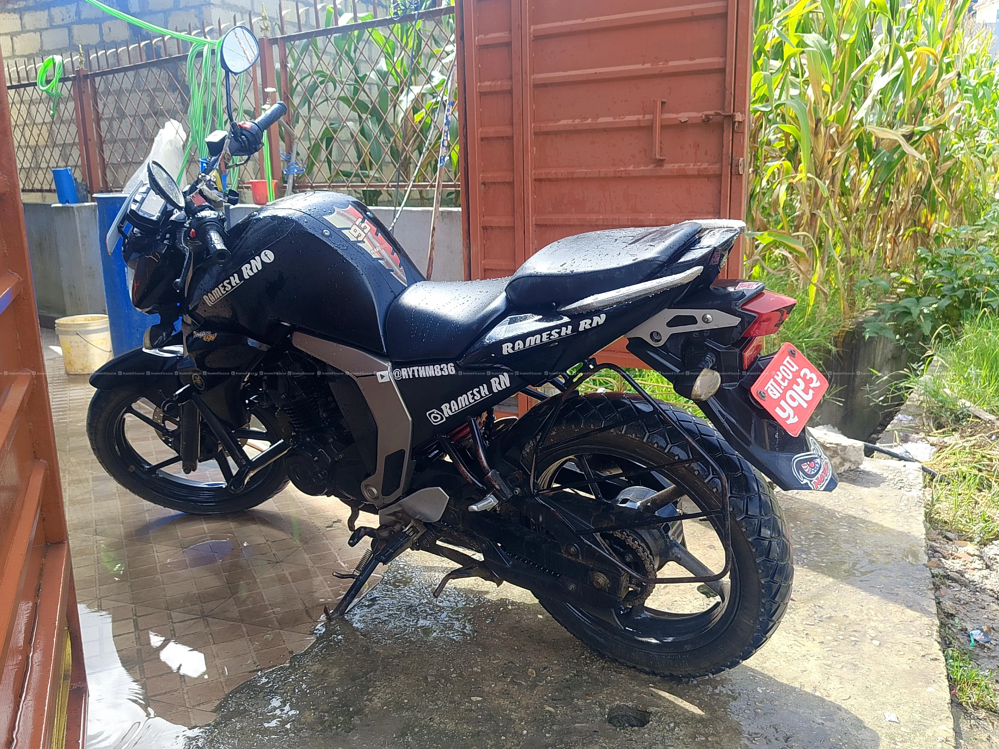 FZ V2 2