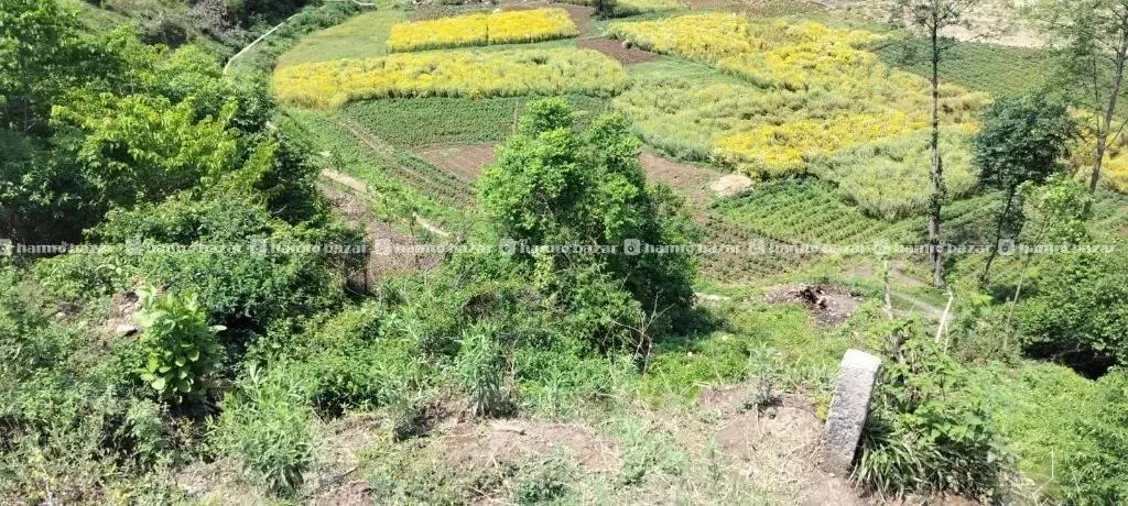 सस्तो जग्गा(बिक्रि)मा लगानी गर्ने अवसर@गोदावरी,थैव