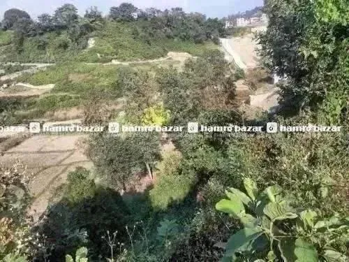 सस्तो जग्गा(बिक्रि)मा लगानी गर्ने अवसर@गोदावरी,थैव 3