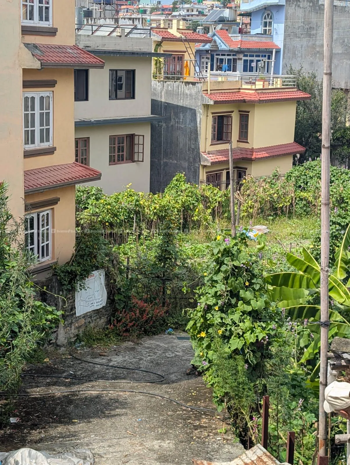 Jagga Bikrima (Land on Sale) 4