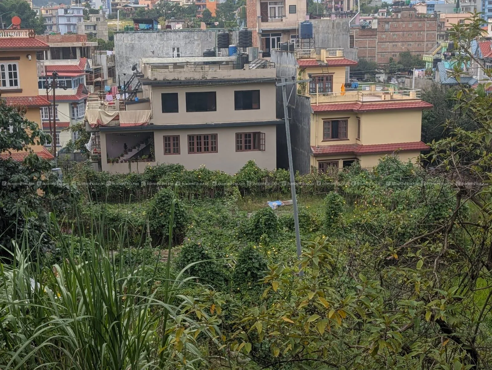 Jagga Bikrima (Land on Sale) 3