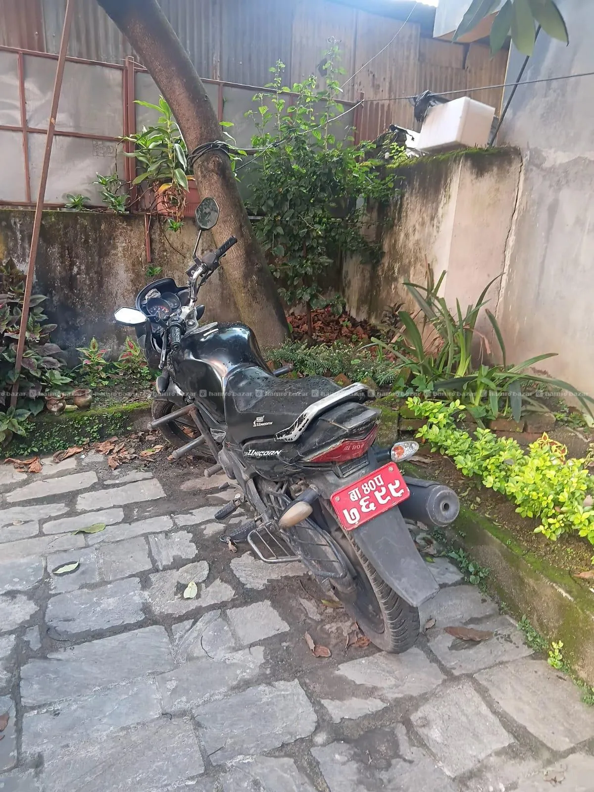 Bike for rent