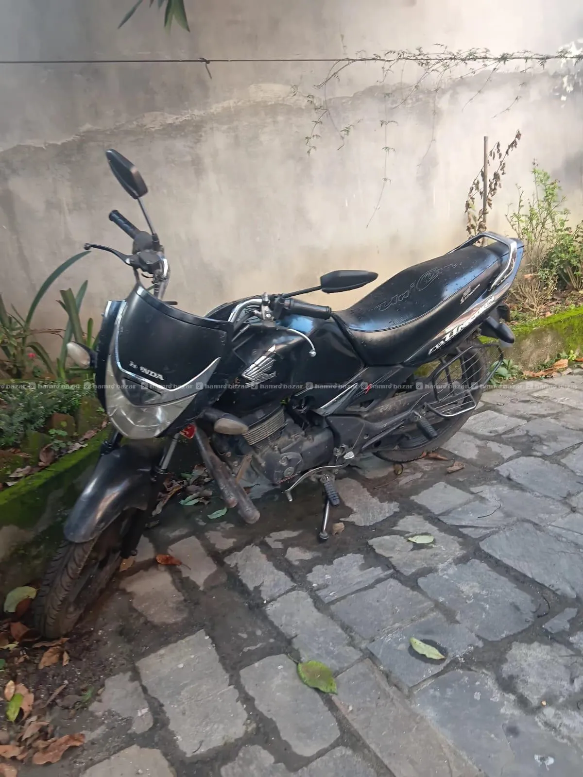 Bike for rent 2