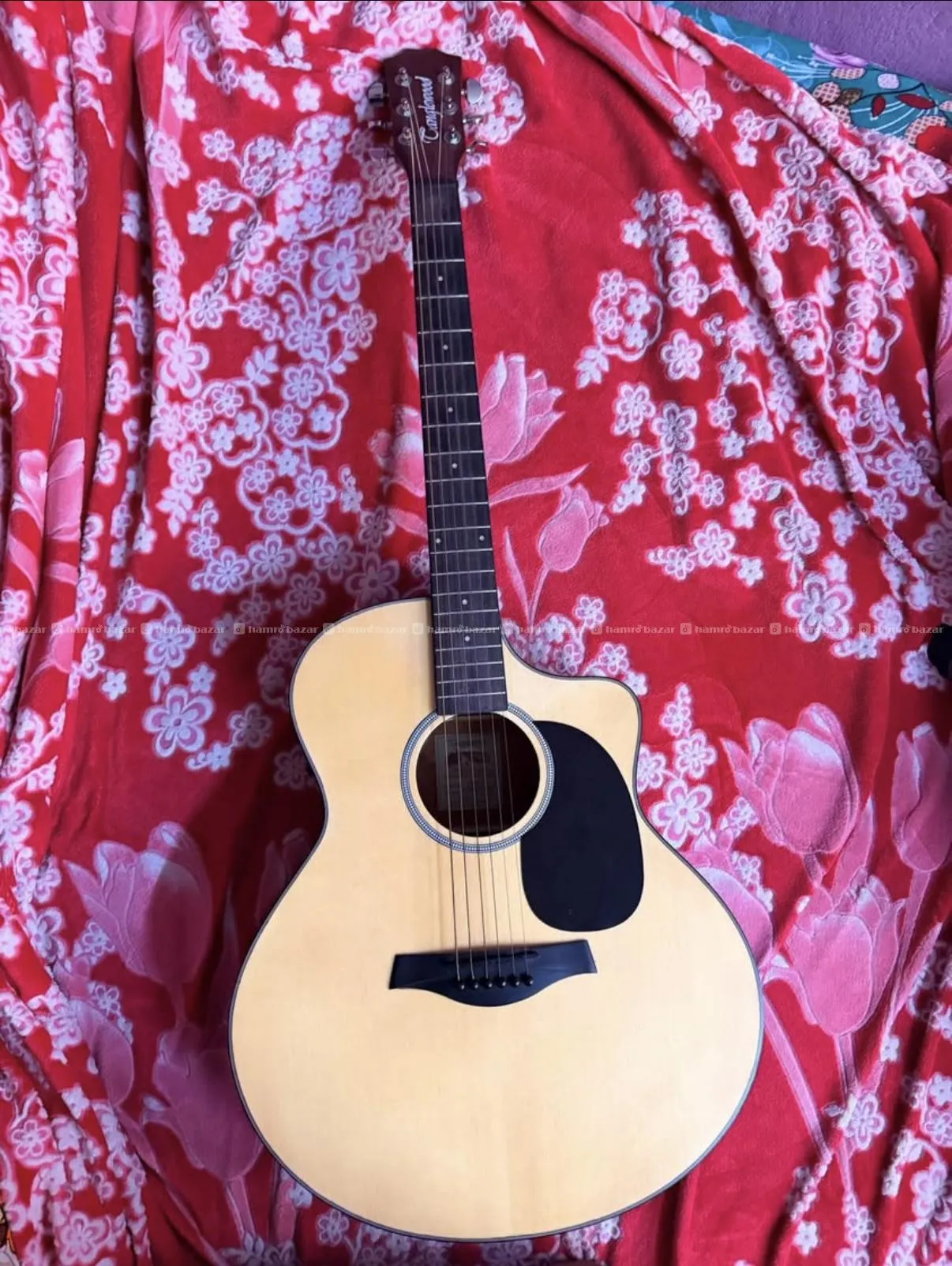 Guitar