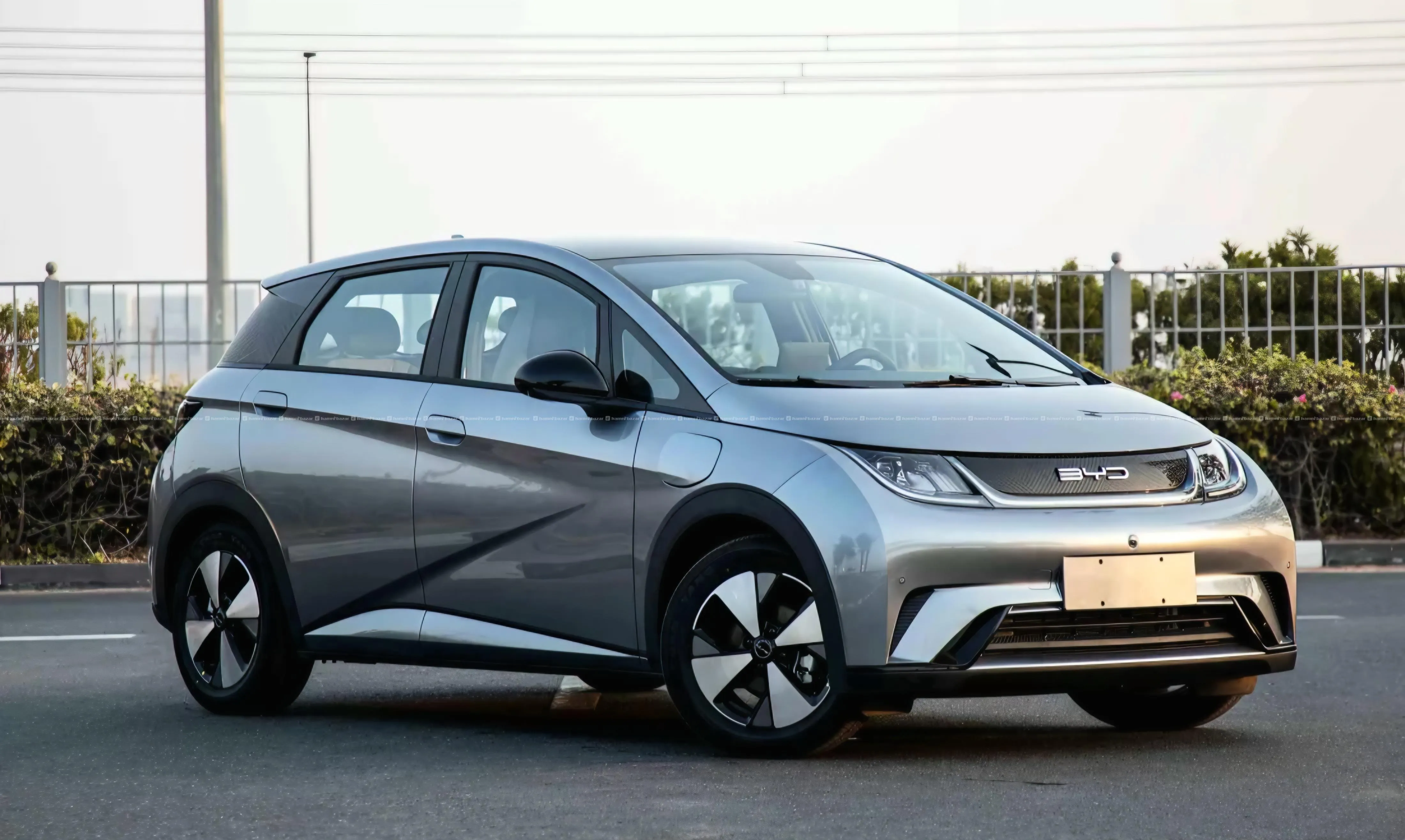 BYD Dolphin EV for rent (with driver) 2