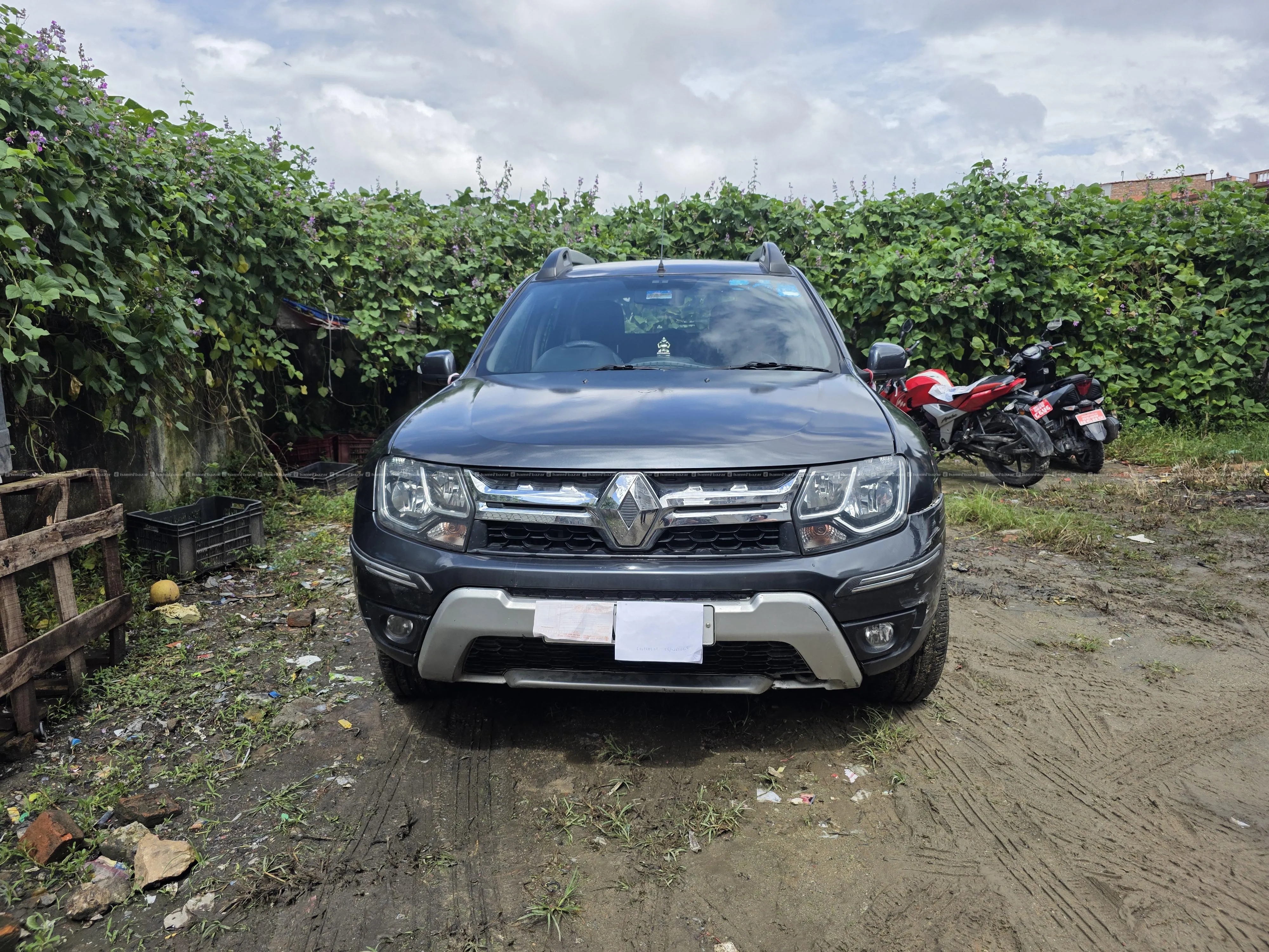 RENAULT DUSTER