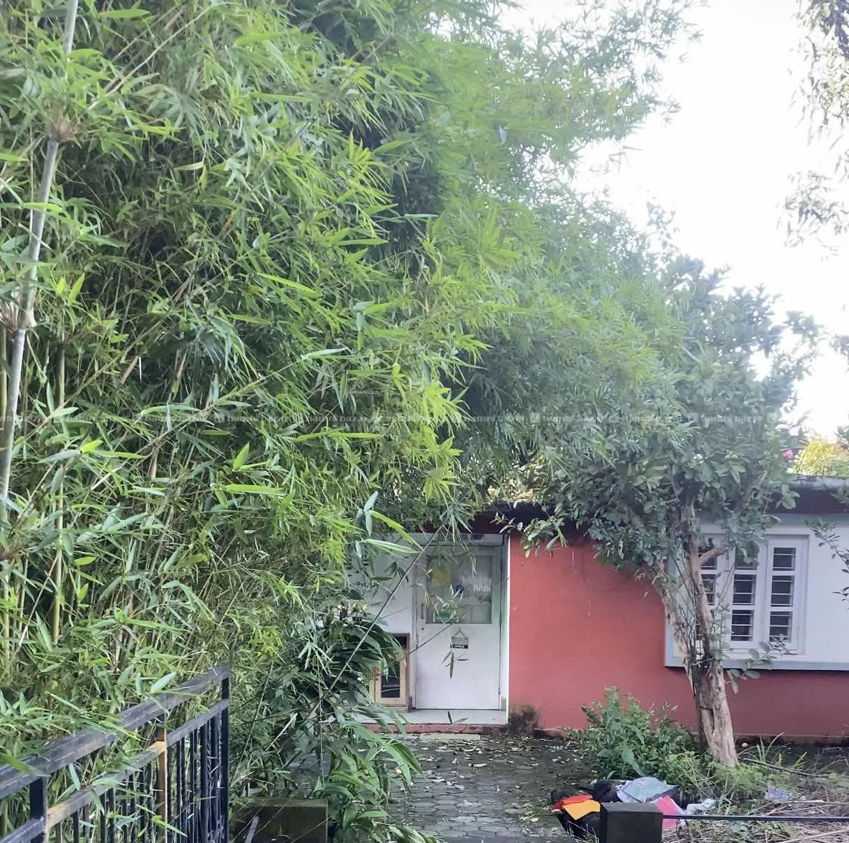 "Rental House with Garden & Parking, Machapokhari" 4