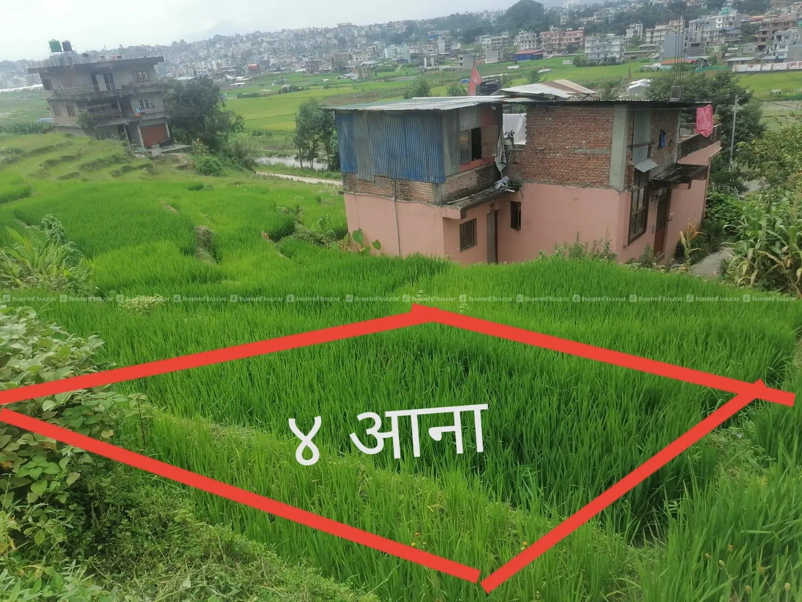 चाँगुनारायणमा ४ आना जग्गा बिक्रिमा