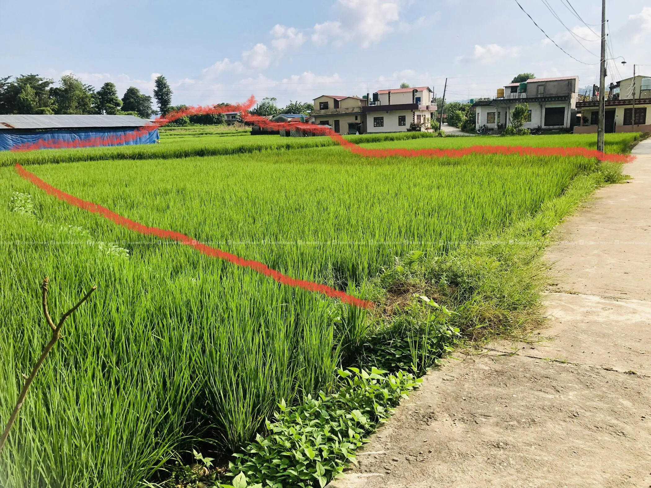 Land Property For Sale 3