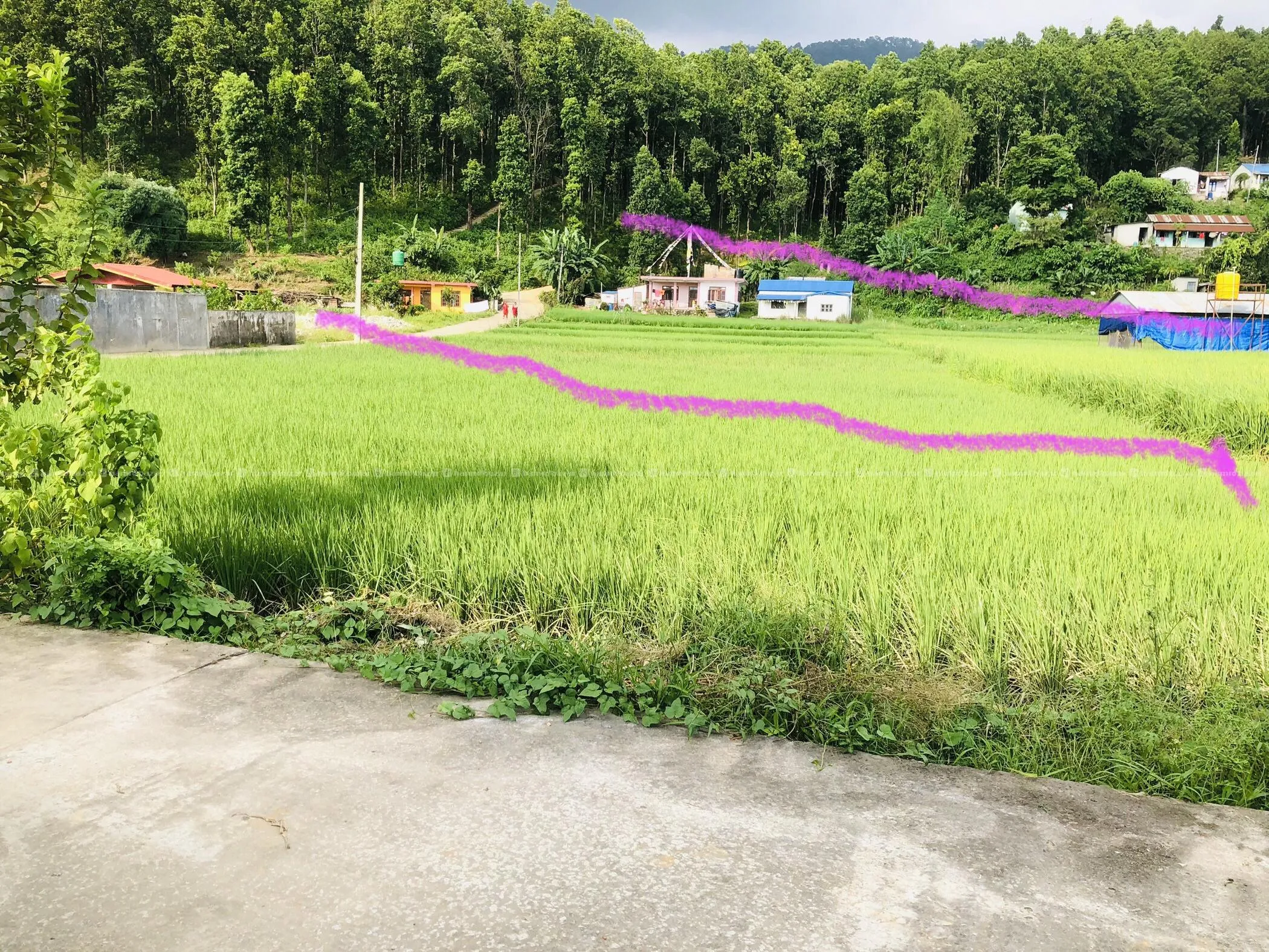 Land Property For Sale
