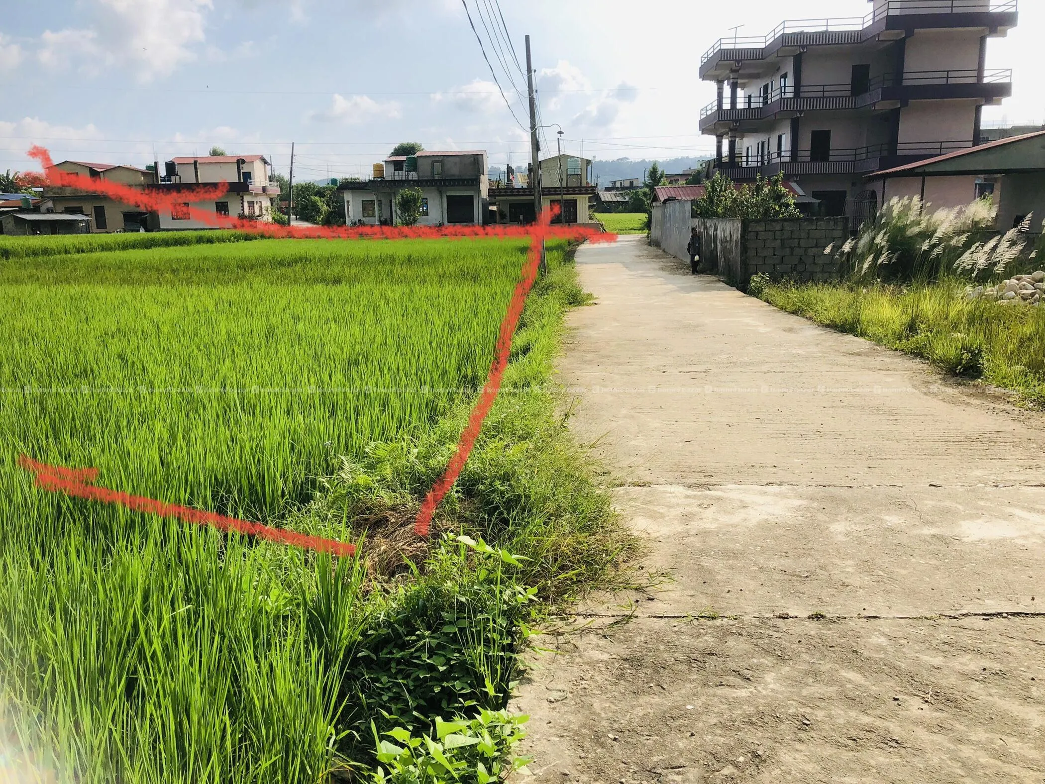 Land Property For Sale 2