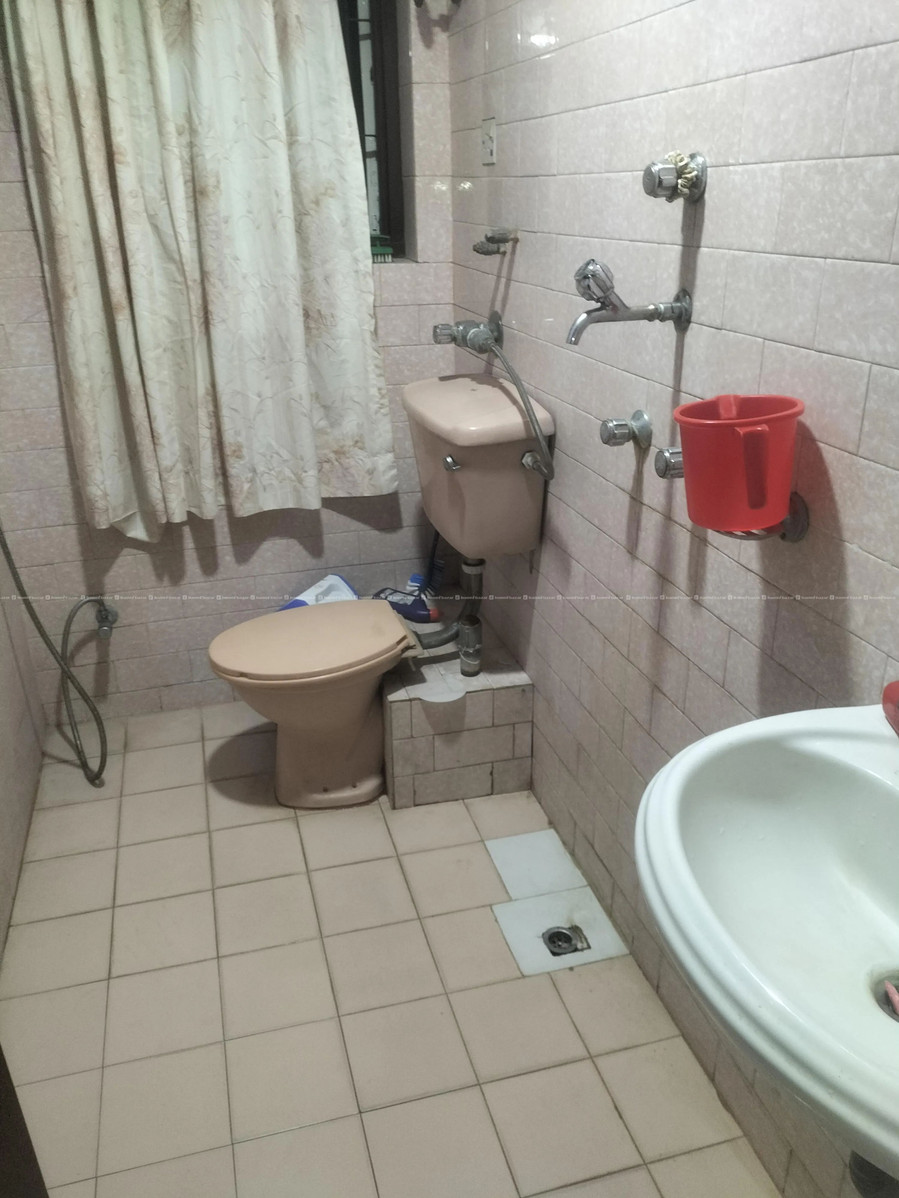 female flatmate needed 3