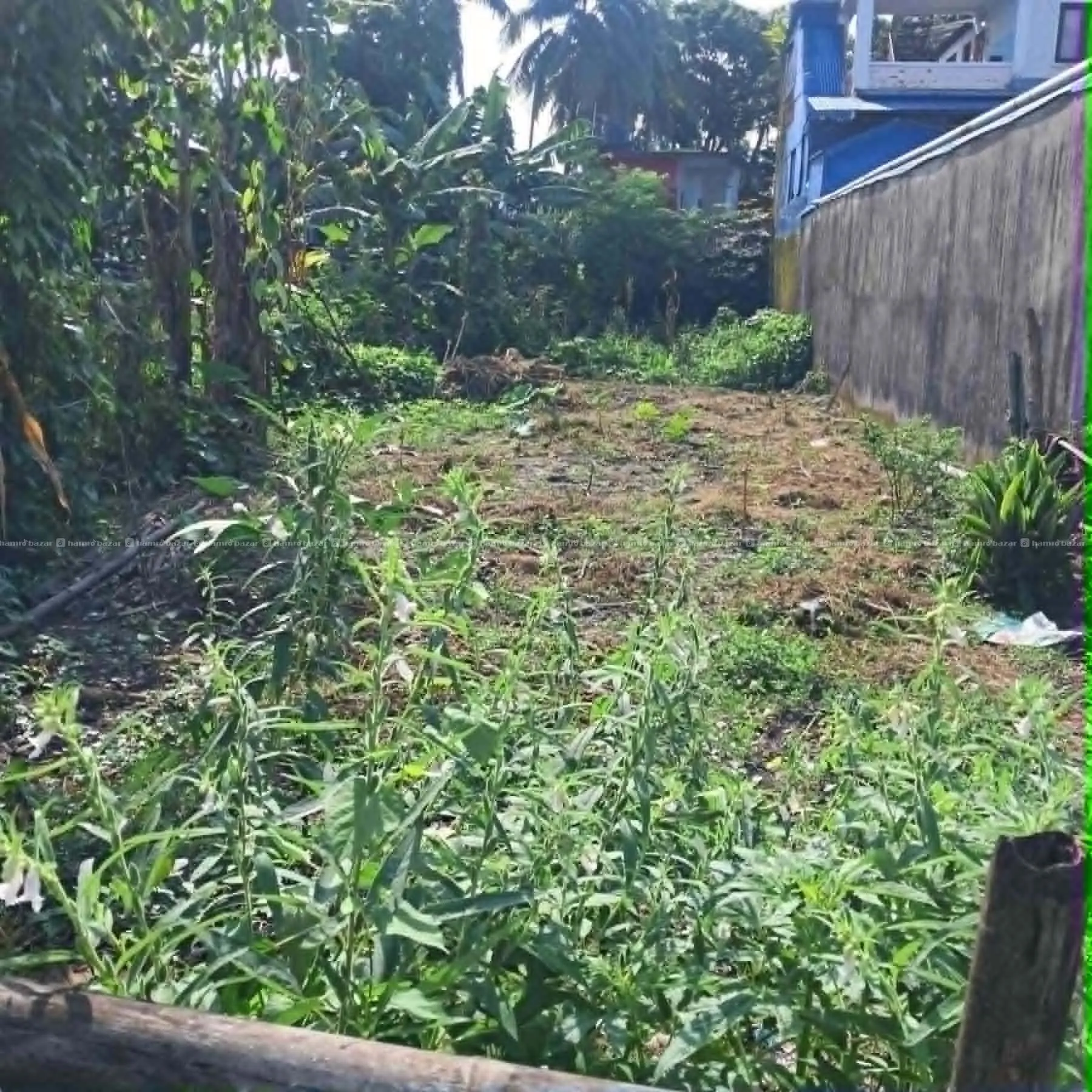 Land on Sale at Dharan